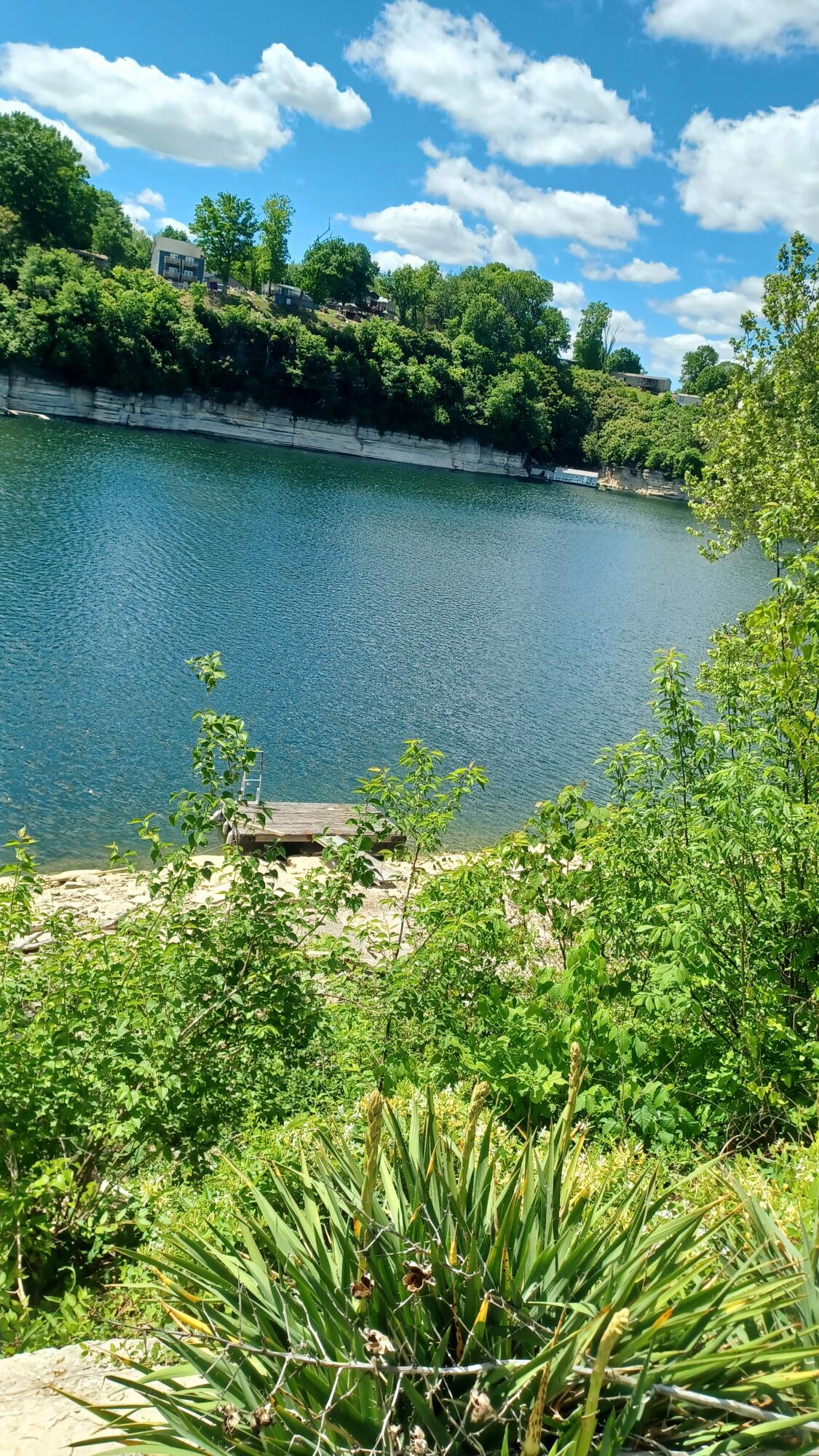 4858 Kennedy Bridge Road Property Photo 45