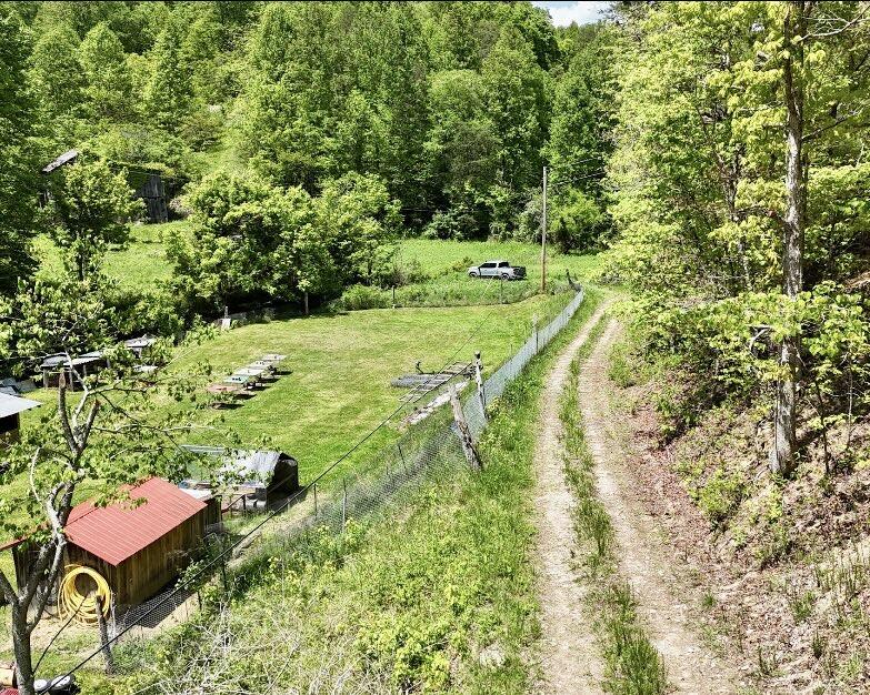 99 Cold Fork Road Property Photo 2