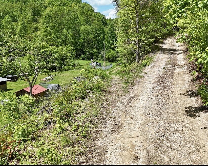 99 Cold Fork Road Property Photo 3