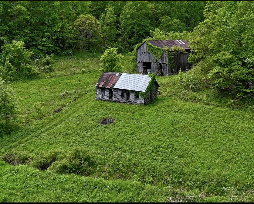 99 Cold Fork Road Property Photo 7