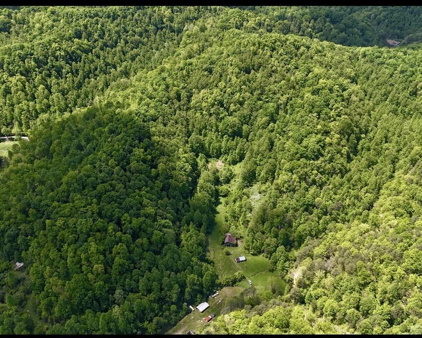99 Cold Fork Road Property Photo 16