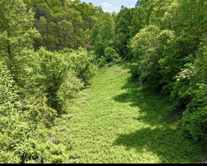99 Cold Fork Road Property Photo 18