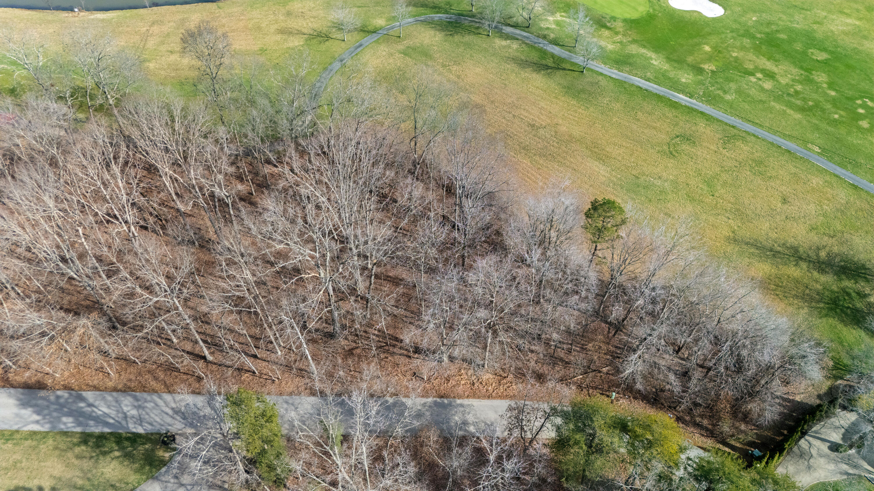 124 Beechwood Drive Property Photo 14