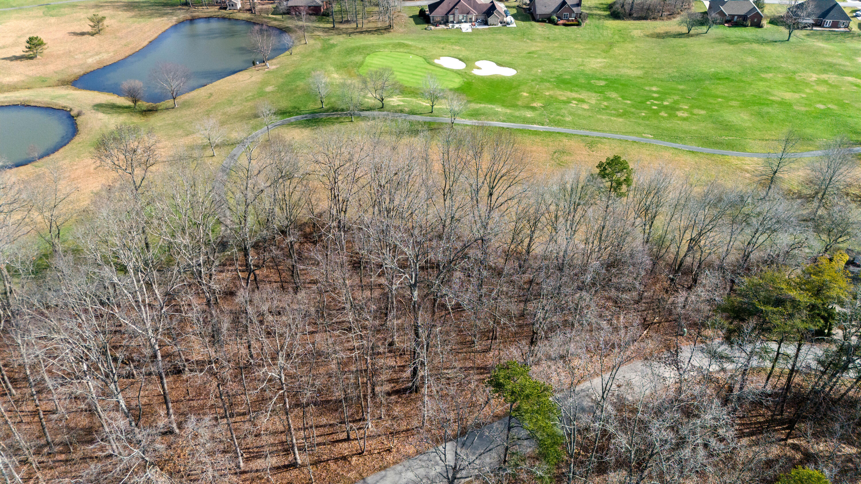 124 Beechwood Drive Property Photo 15
