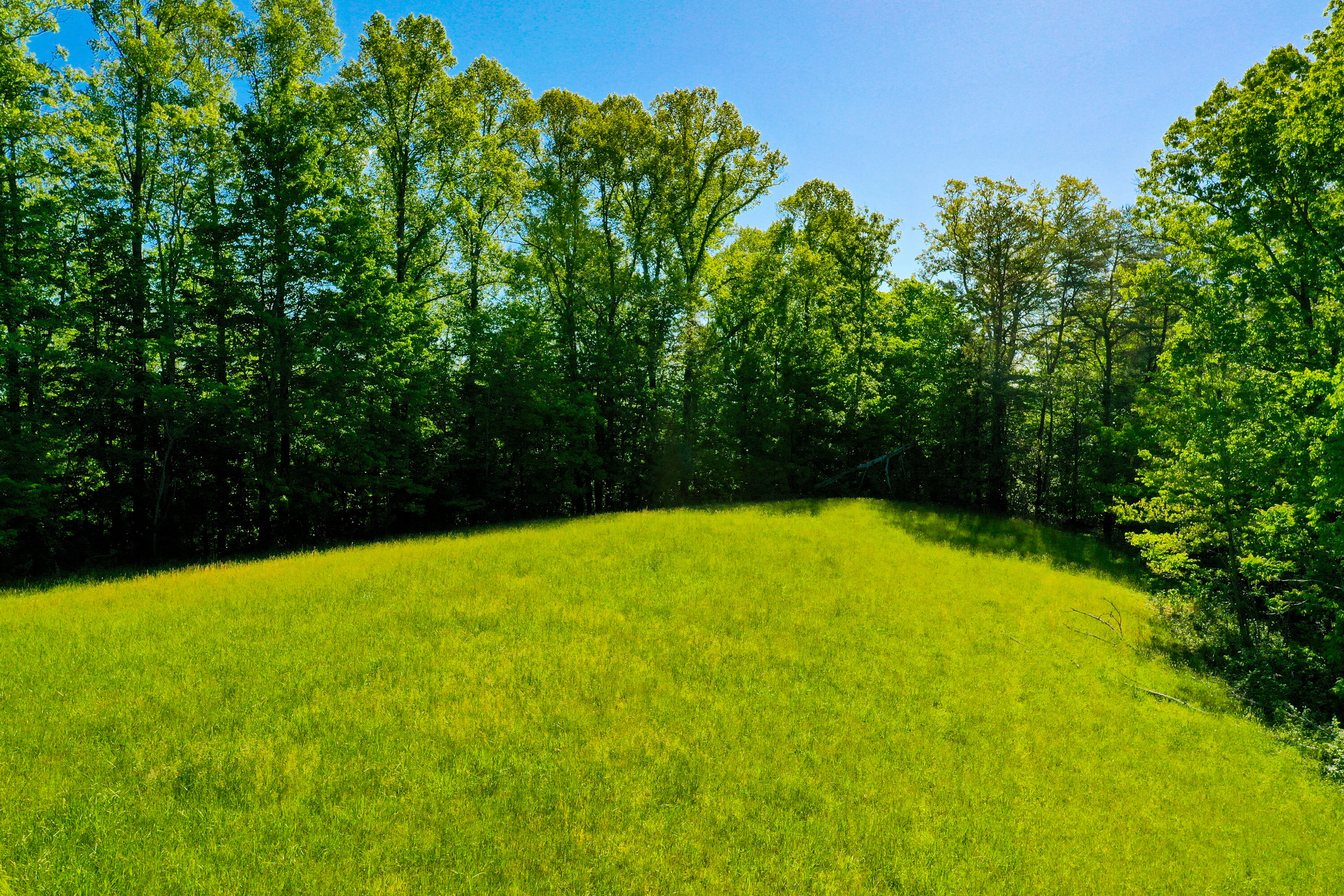 7777 State Highway 2016 Property Photo 2