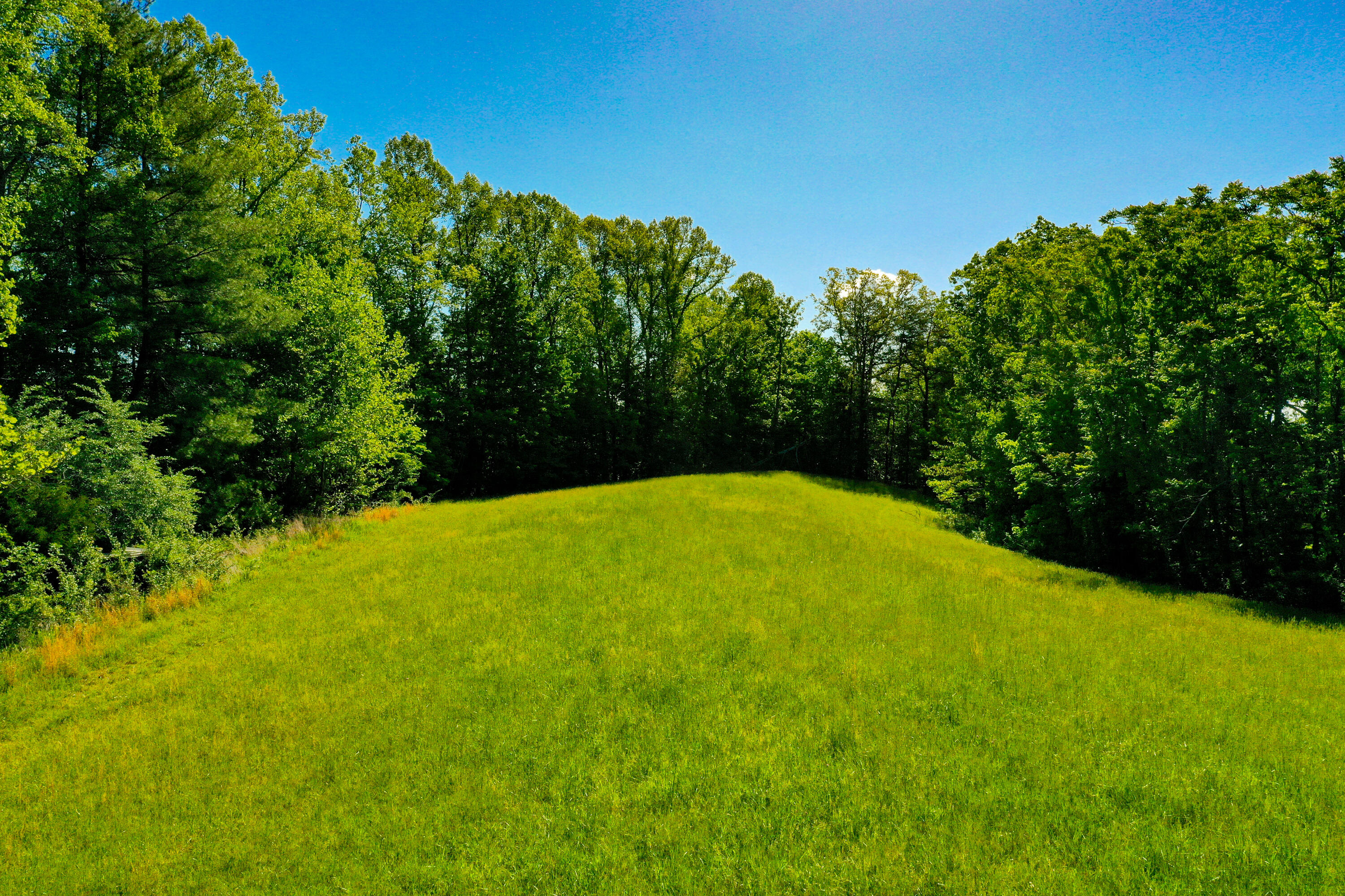 7777 State Highway 2016 Property Photo 3