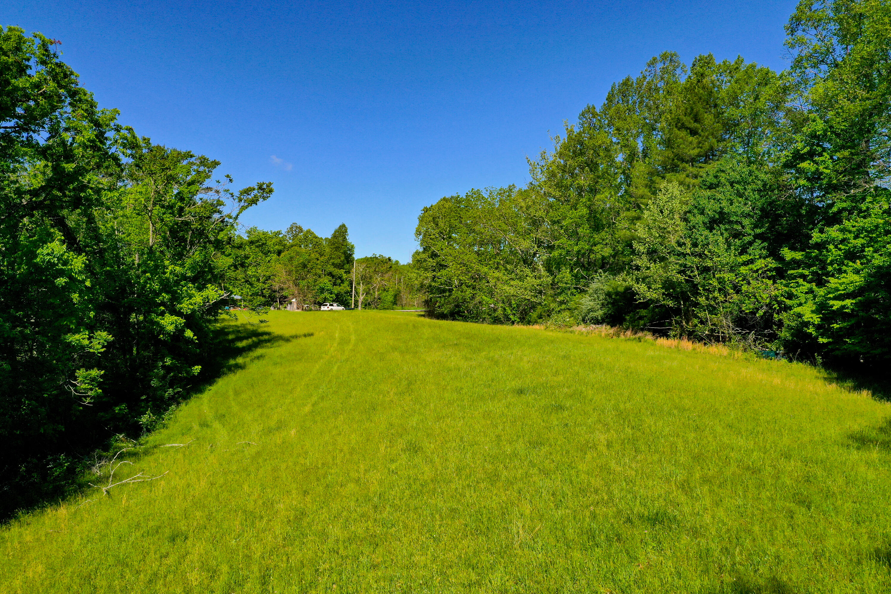 7777 State Highway 2016 Property Photo 4