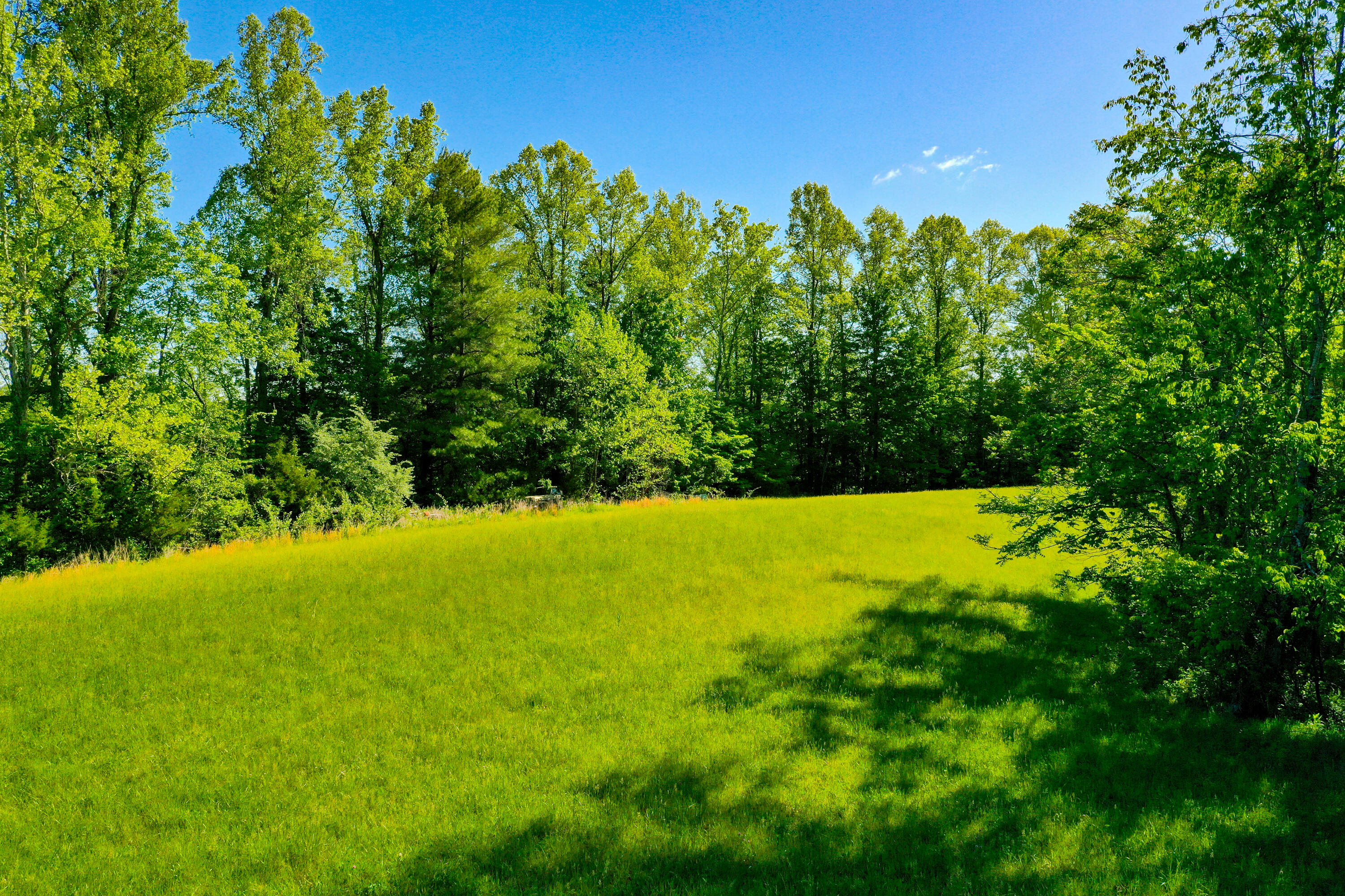 7777 State Highway 2016 Property Photo 5