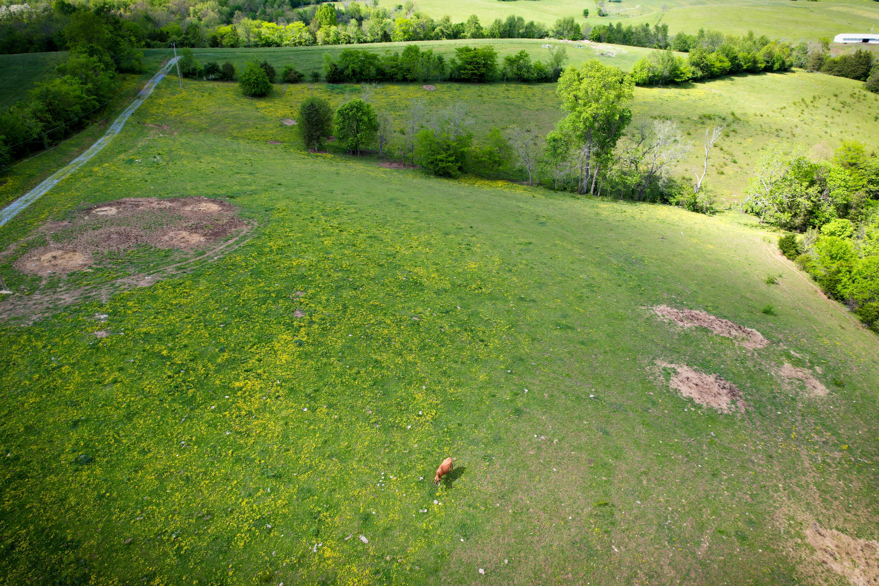 275 Teal Moon Trace Property Photo 2