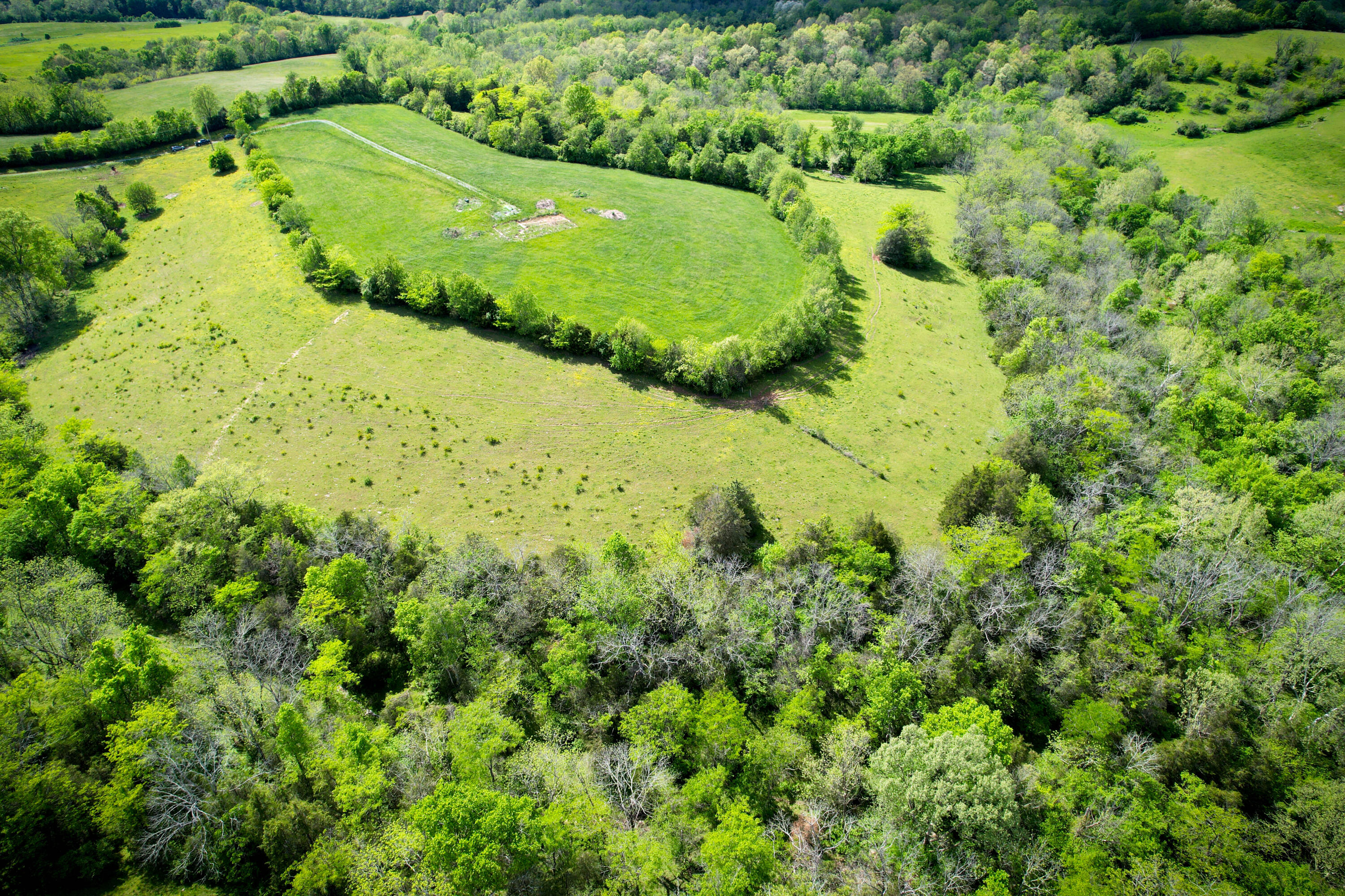 275 Teal Moon Trace Property Photo 3