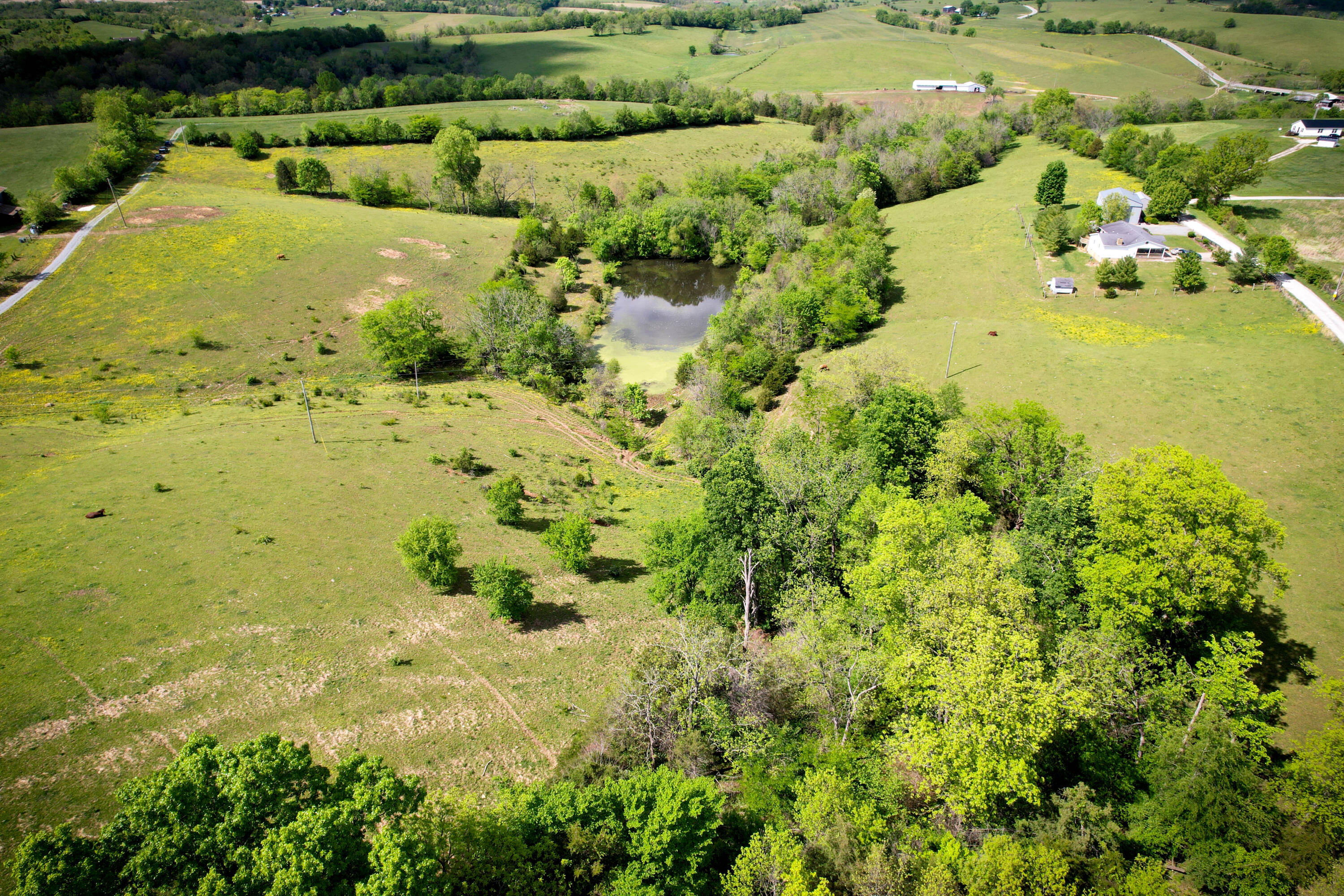 275 Teal Moon Trace Property Photo 6