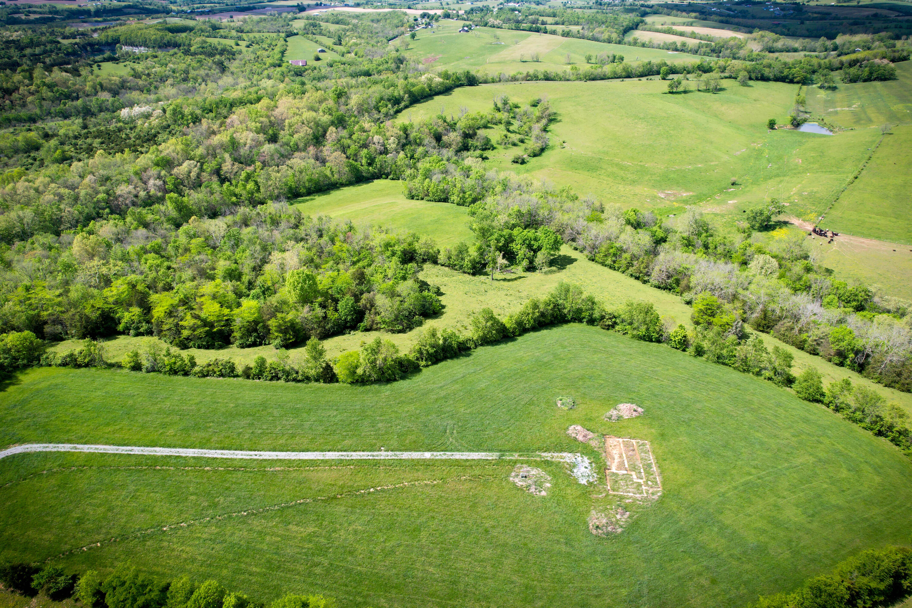 275 Teal Moon Trace Property Photo 9