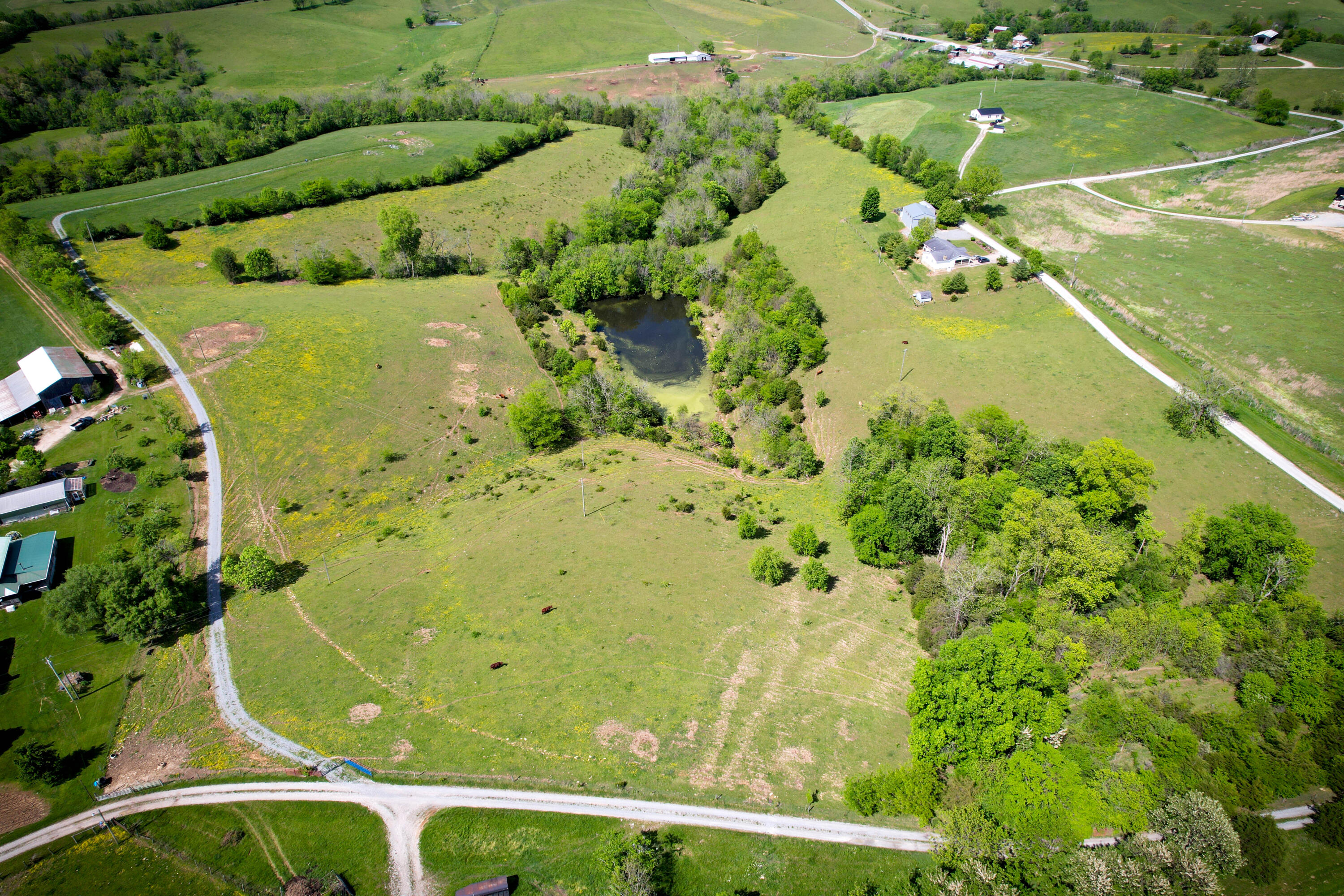 275 Teal Moon Trace Property Photo 11