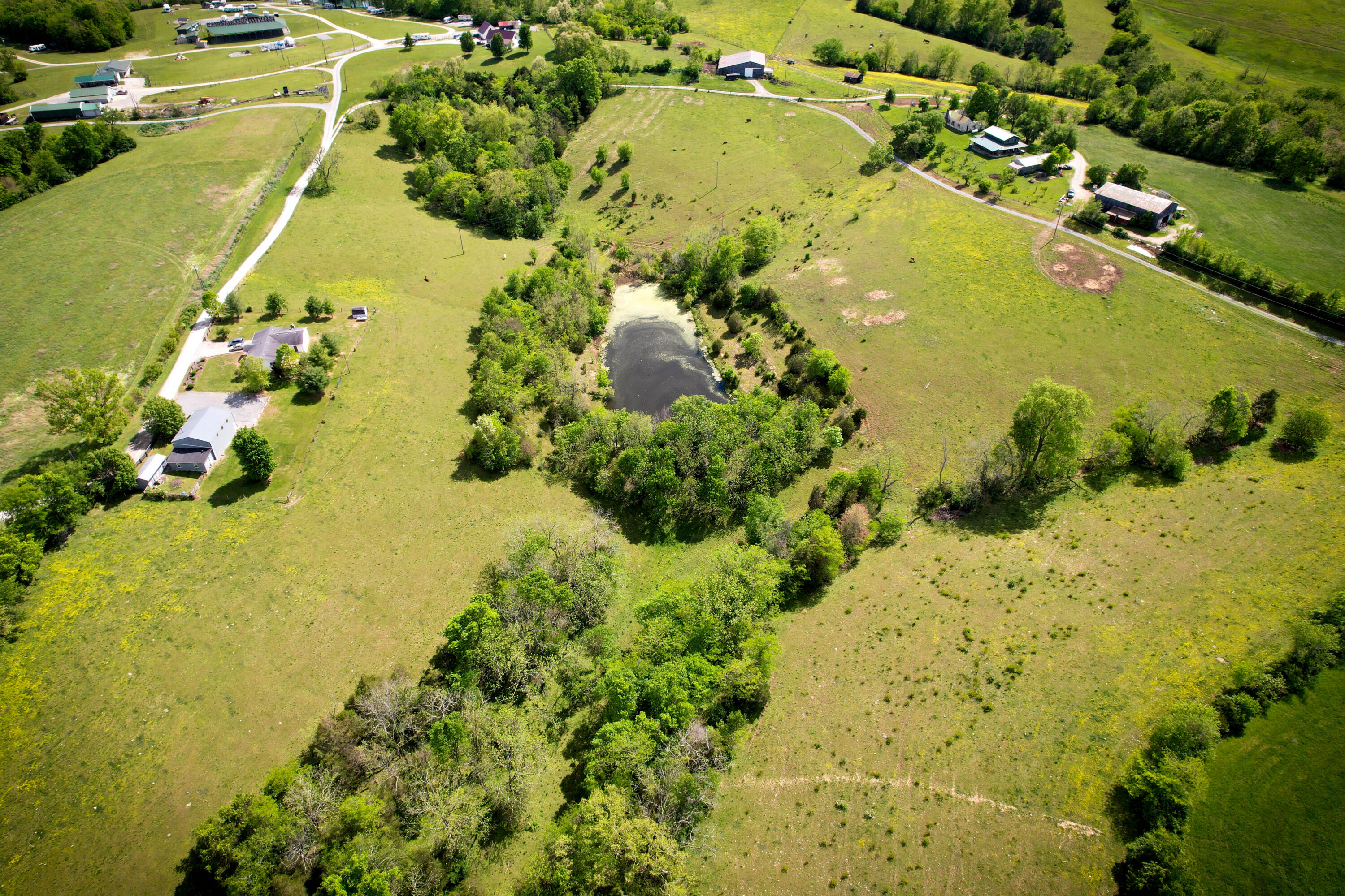 275 Teal Moon Trace Property Photo 12