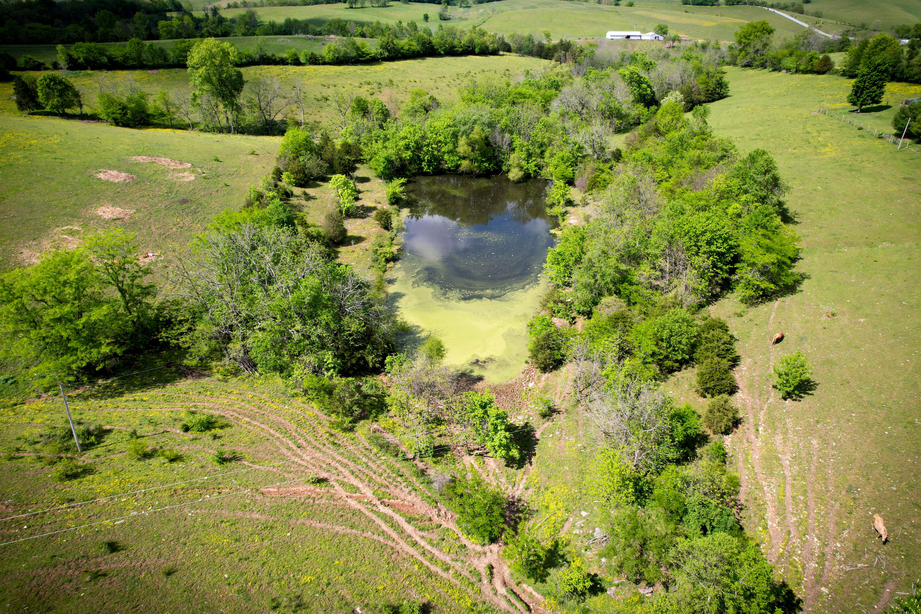 275 Teal Moon Trace Property Photo 13