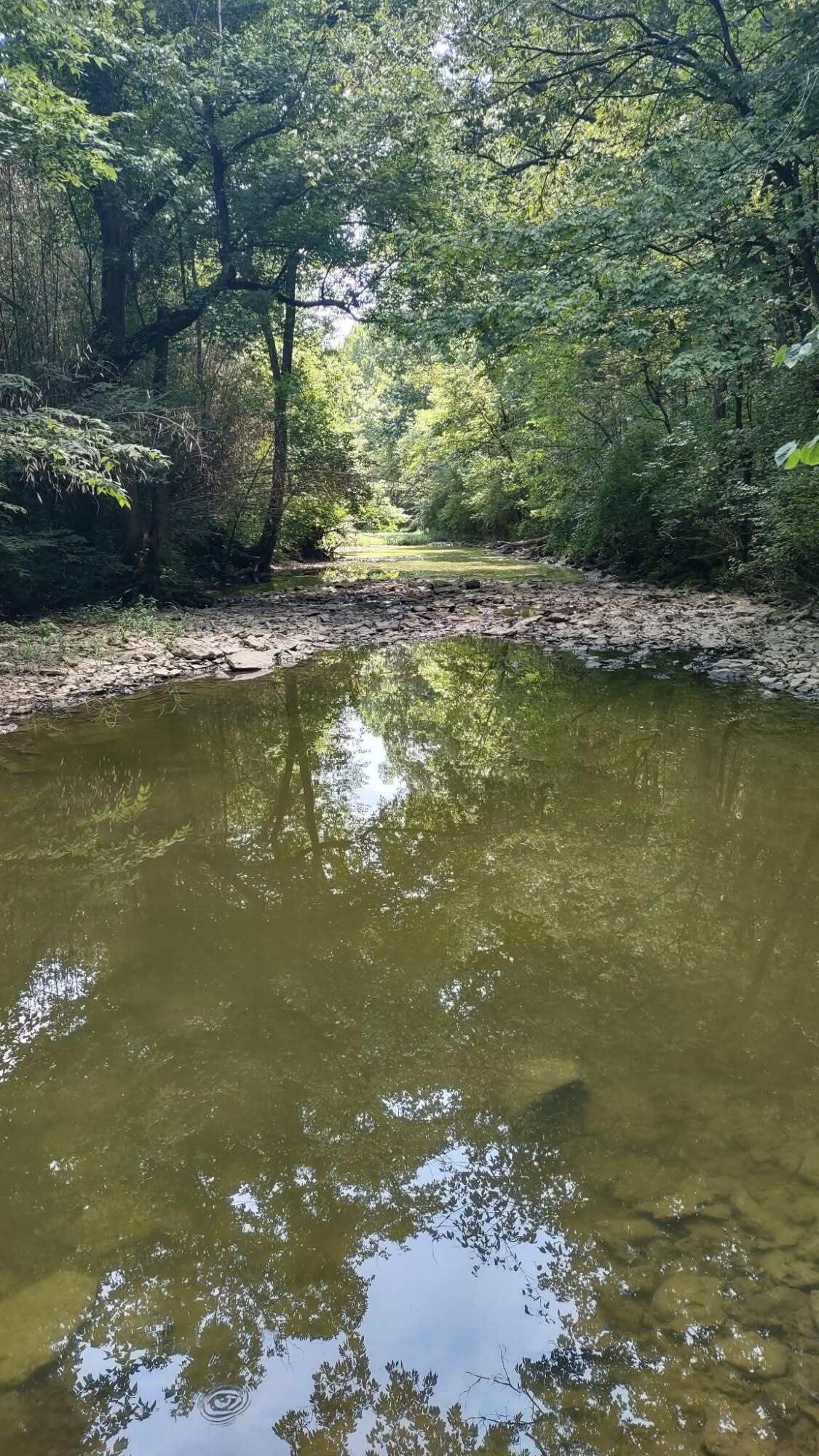 275 Teal Moon Trace Property Photo 18