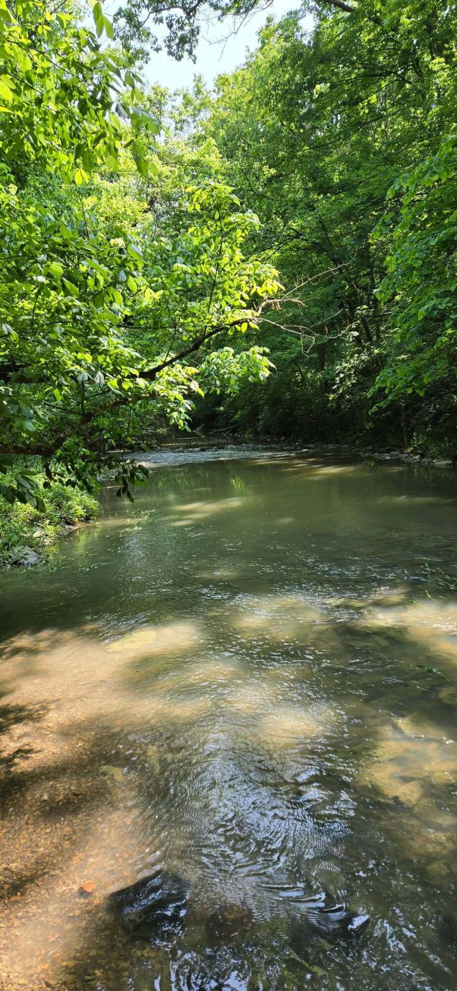 275 Teal Moon Trace Property Photo 20
