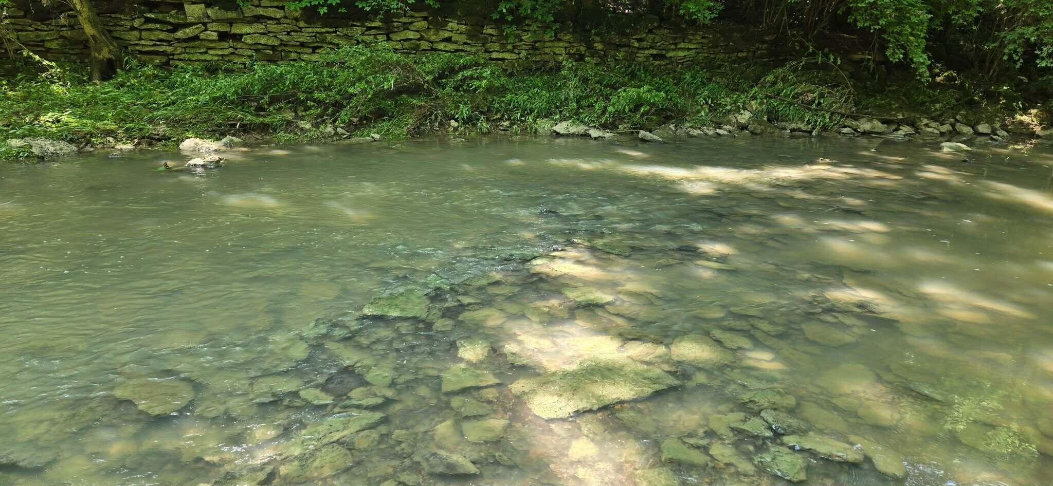 275 Teal Moon Trace Property Photo 21