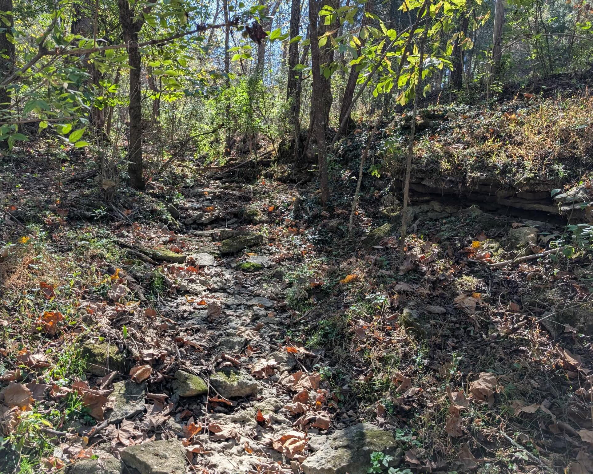 275 Teal Moon Trace Property Photo 22