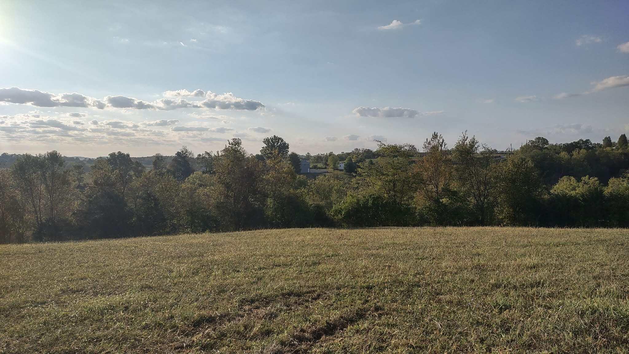 275 Teal Moon Trace Property Photo 23