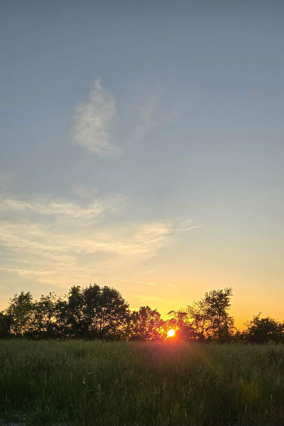 275 Teal Moon Trace Property Photo 24
