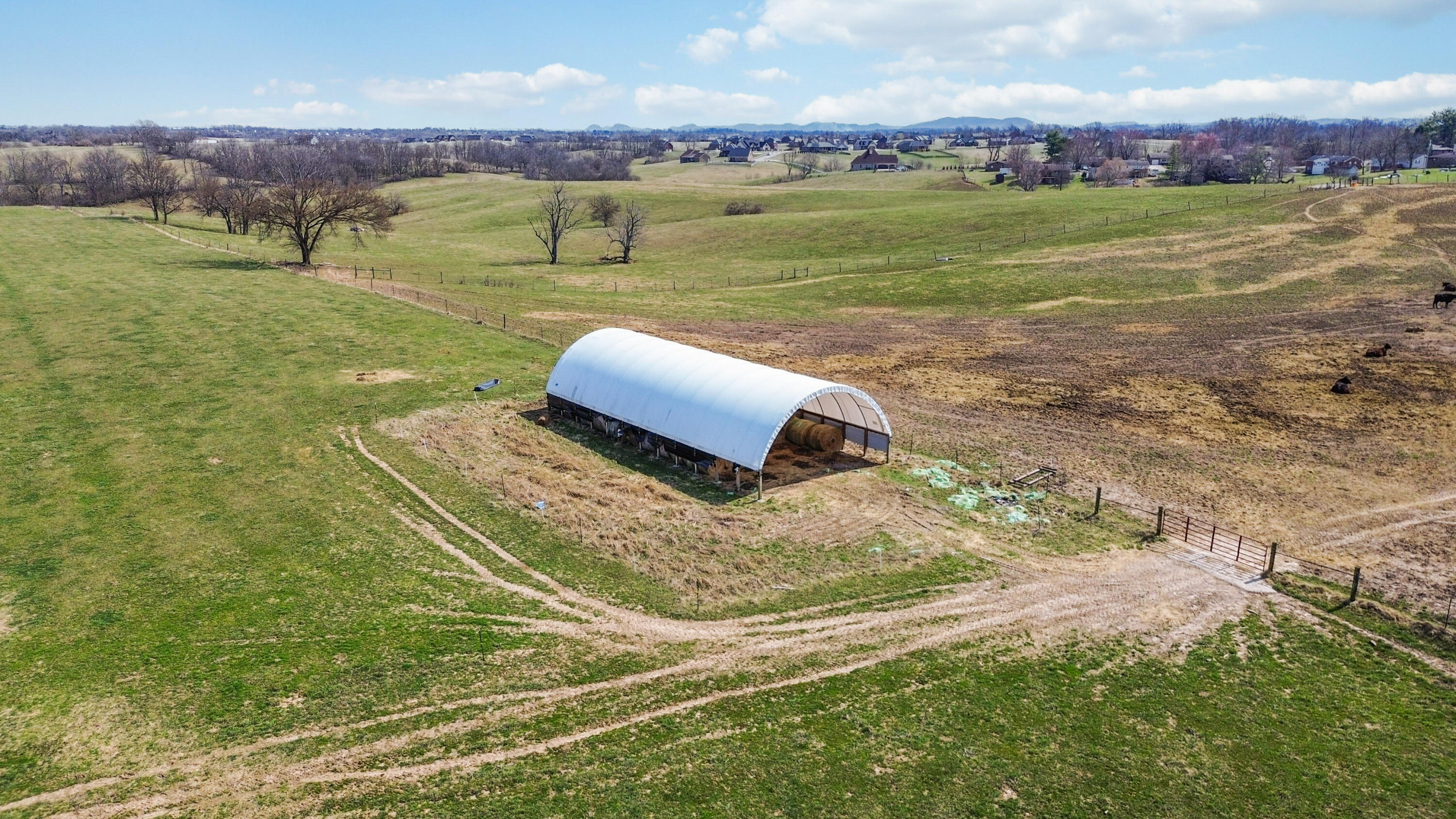 1630 Richmond Road Property Photo 6