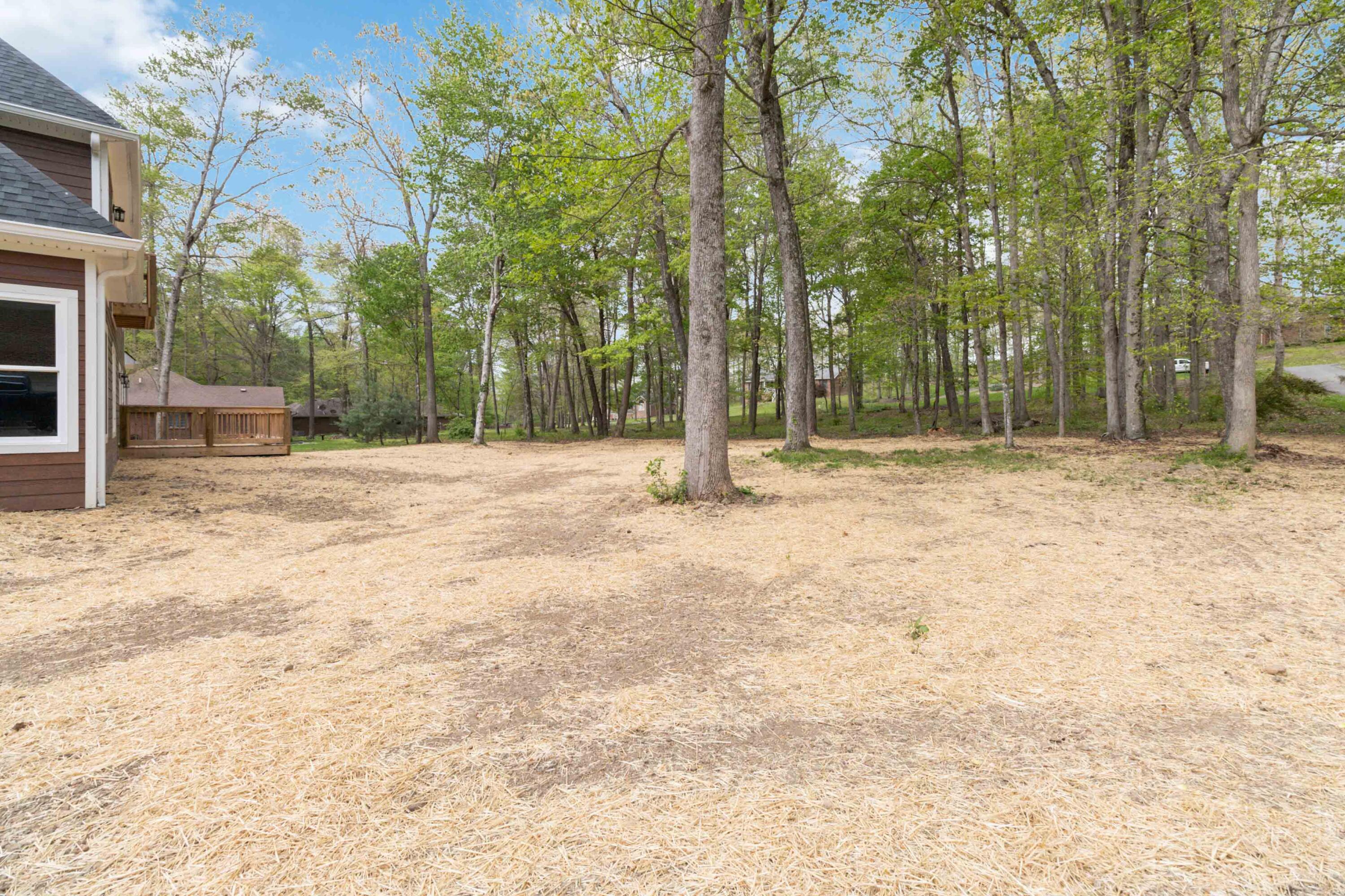 116 Shelby Lane Property Photo 48