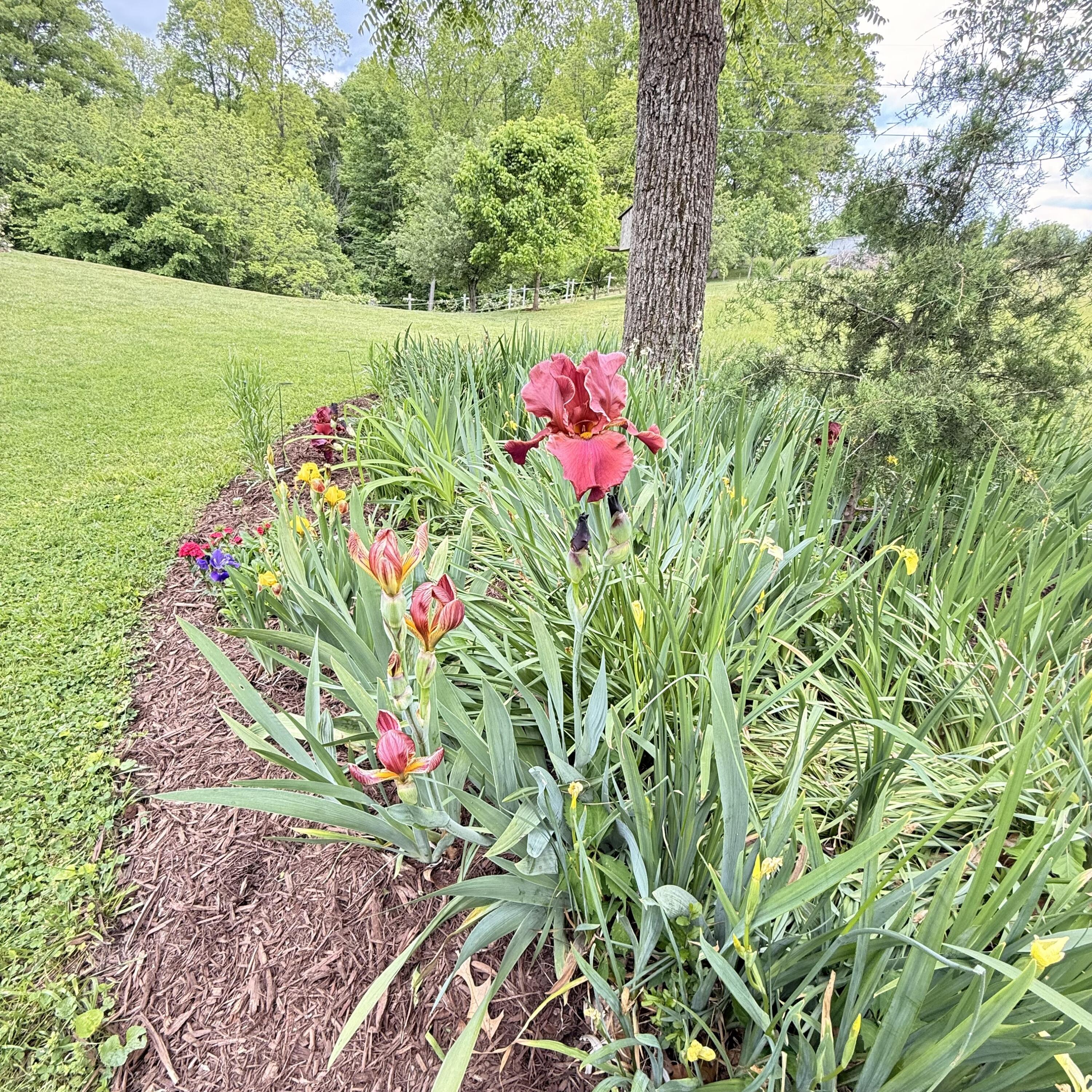 1836 Ferry Road Property Photo 97
