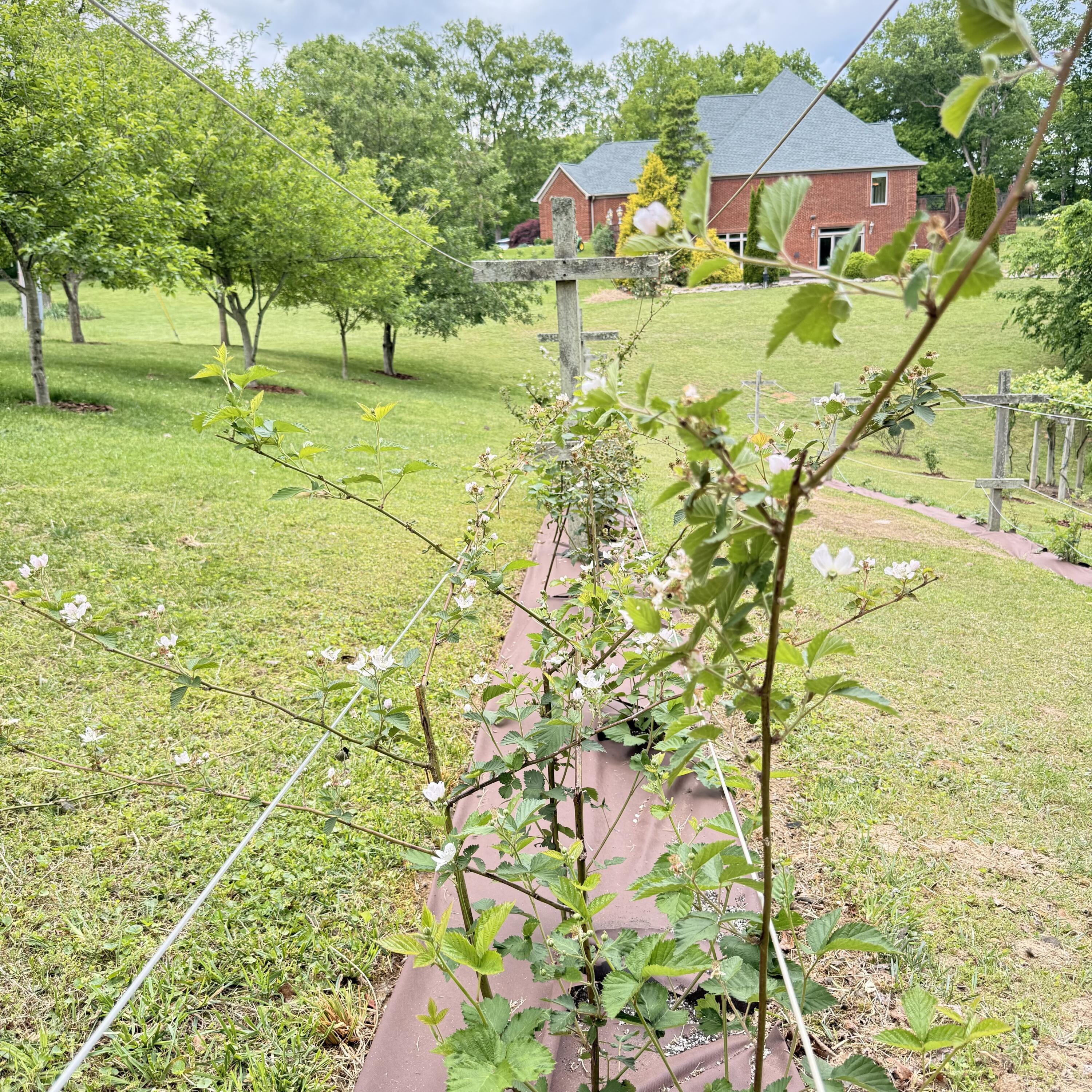 1836 Ferry Road Property Photo 98