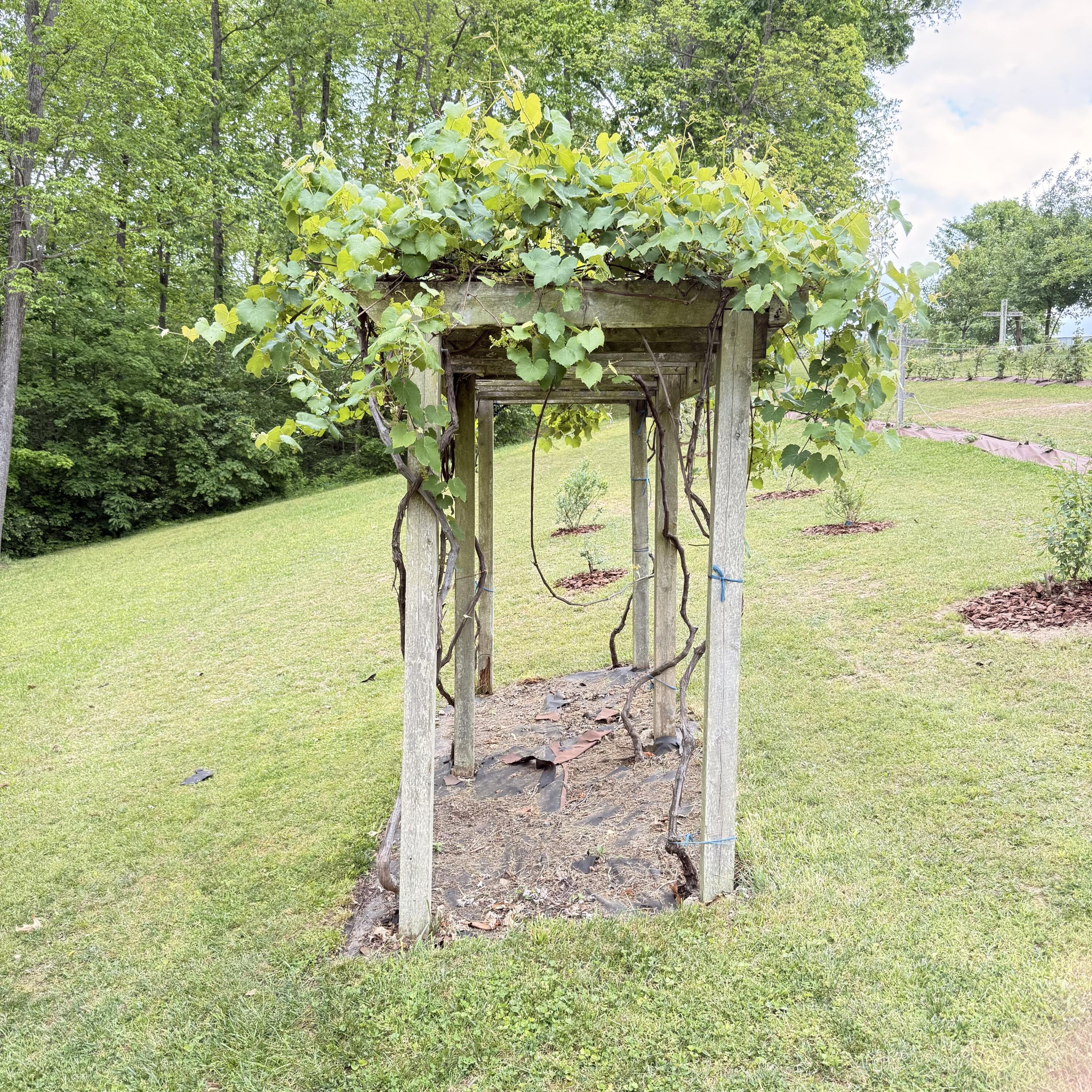 1836 Ferry Road Property Photo 99
