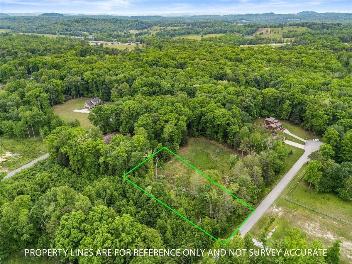 0 Riva Ridge Trail Property Photo 5