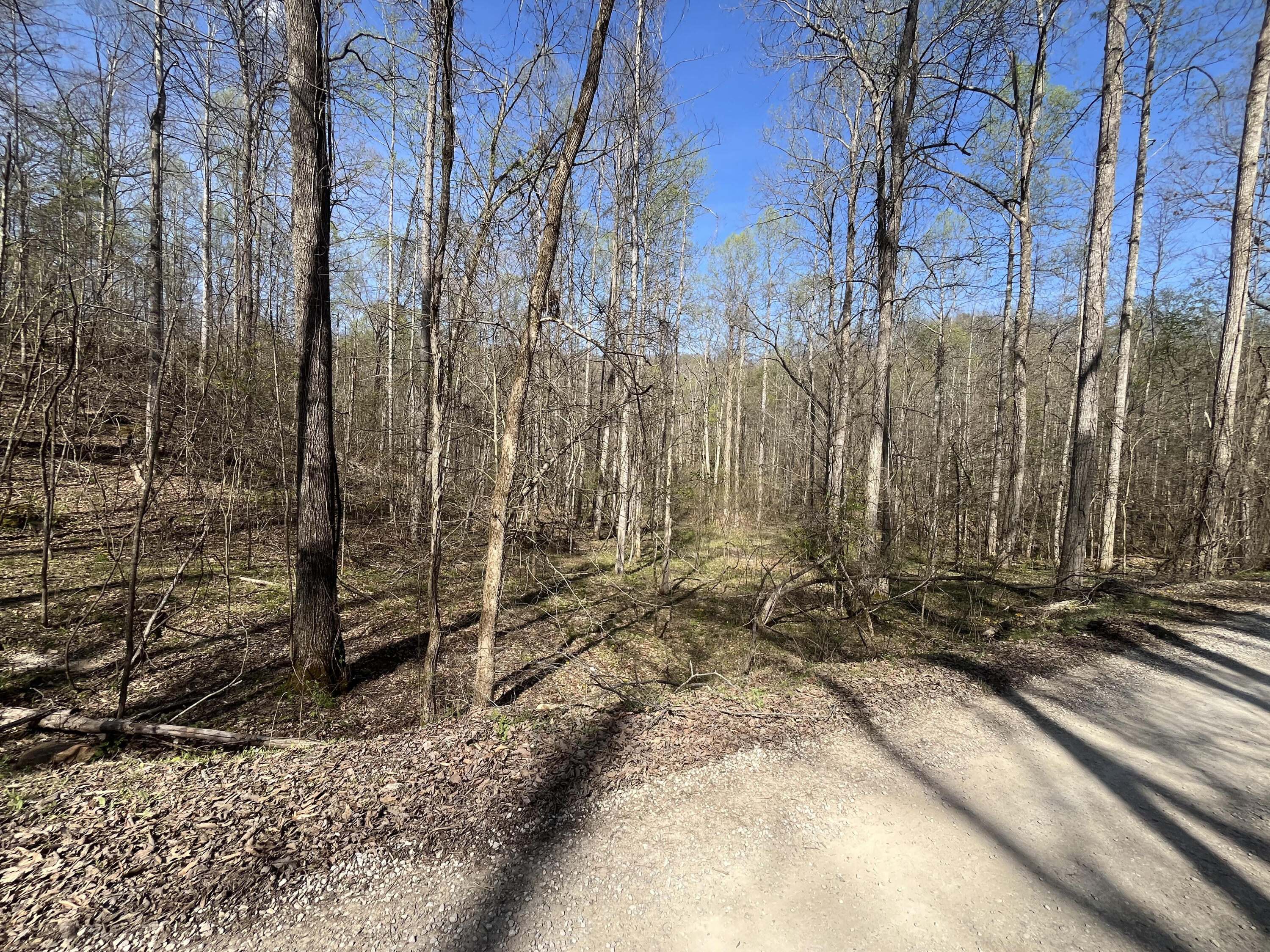 Lot Mountain Springs Cem Road Property Photo 10