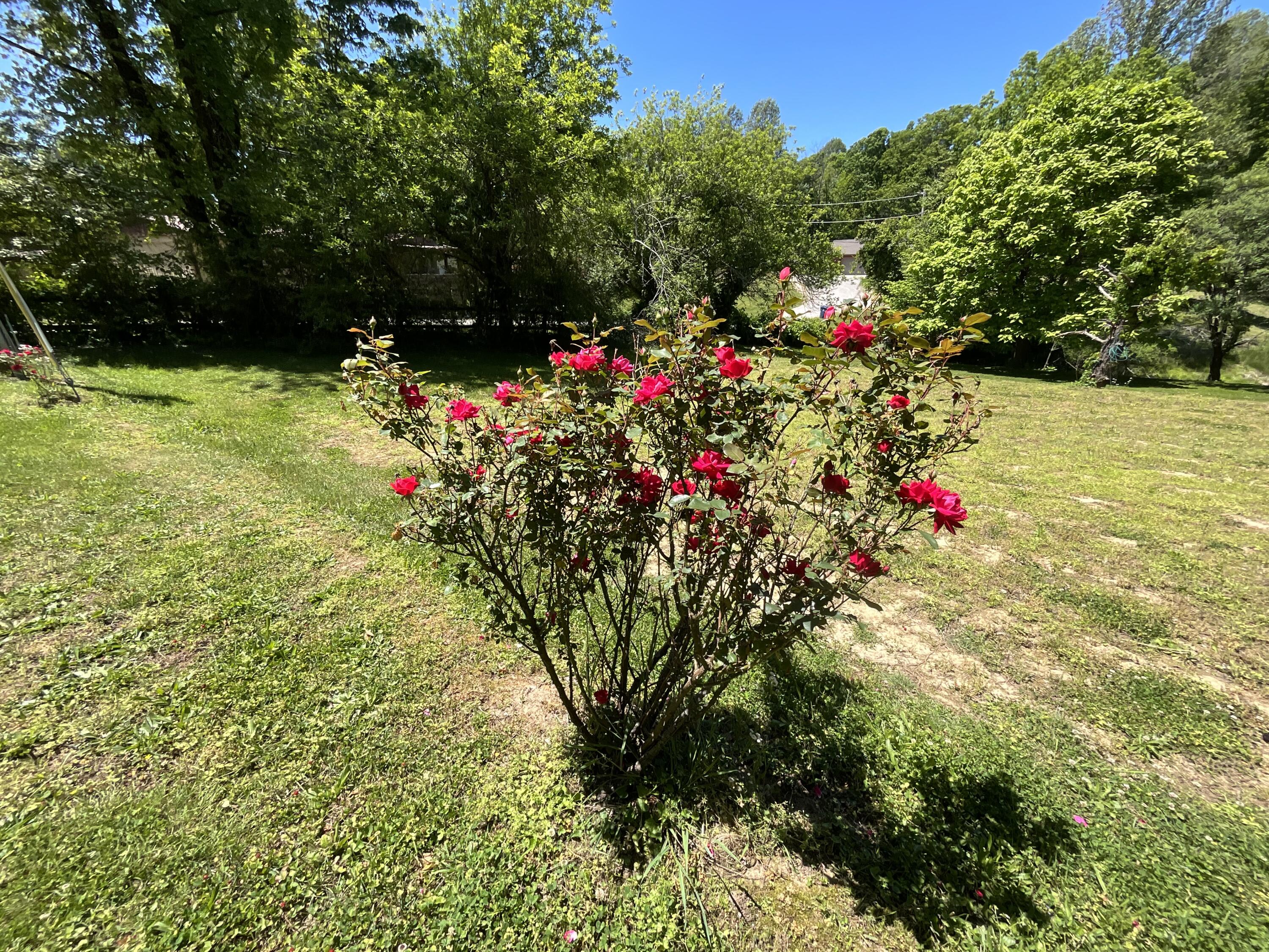 56 Tim Morgan Road Property Photo 5