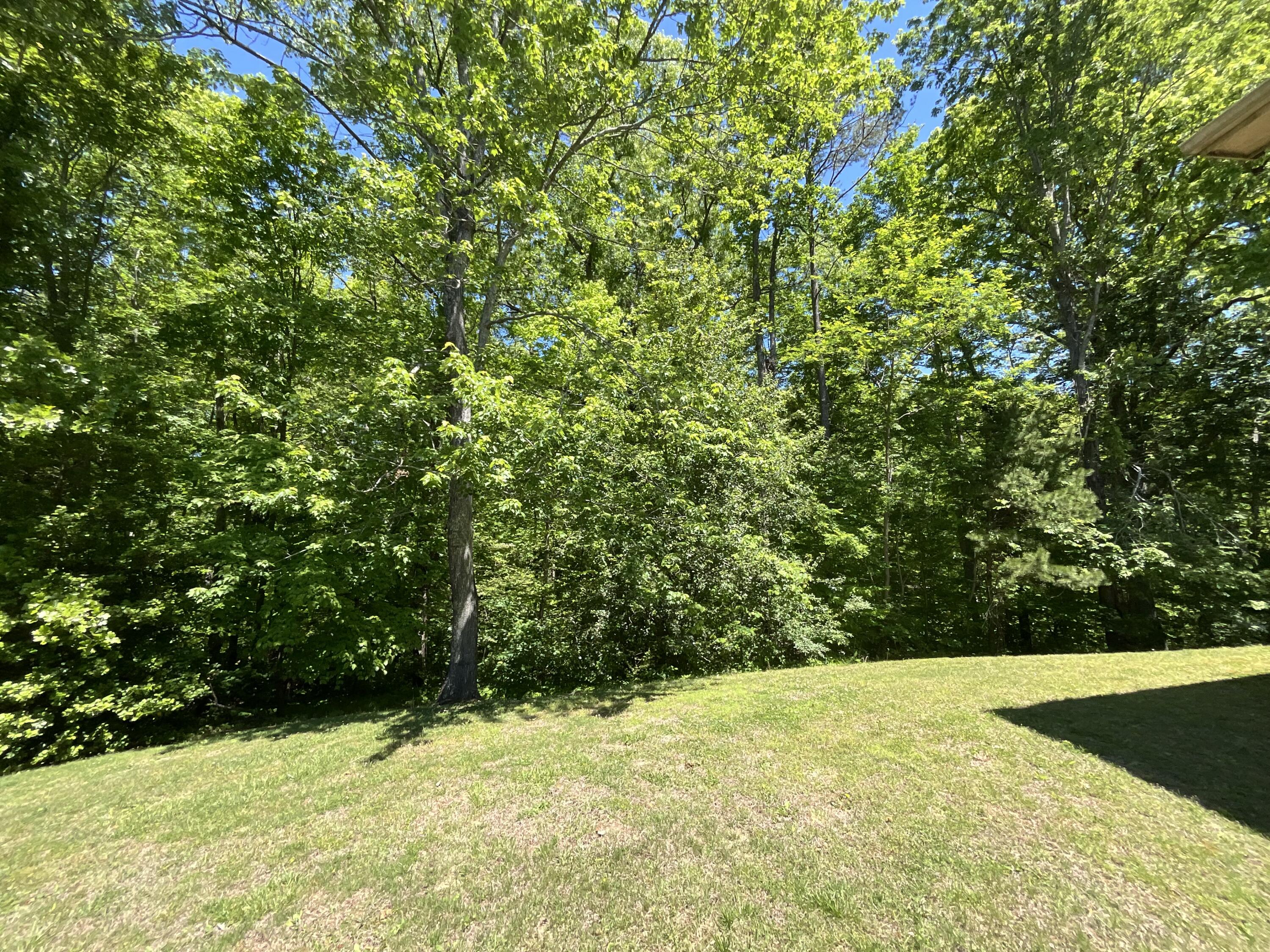 56 Tim Morgan Road Property Photo 65