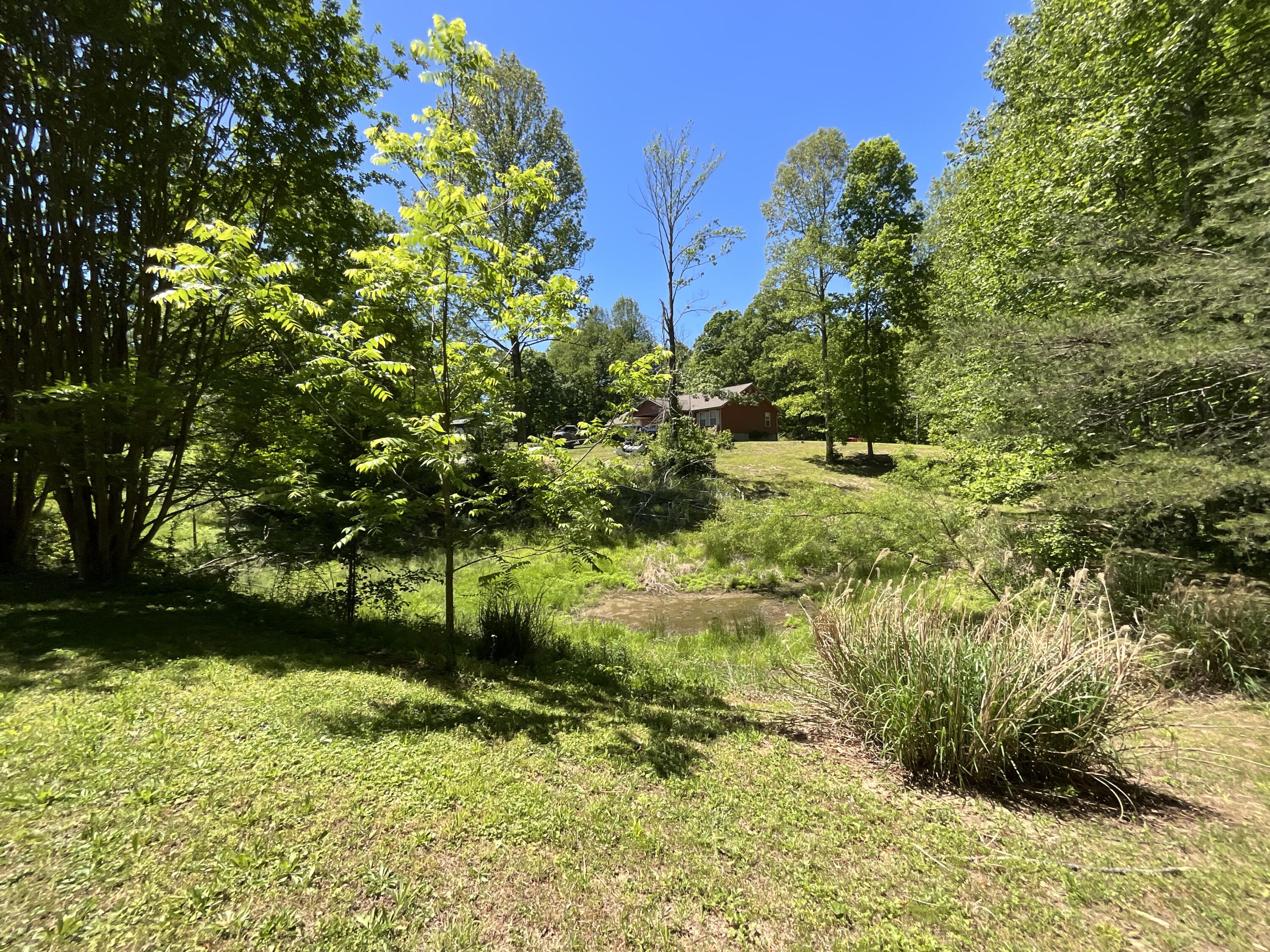 56 Tim Morgan Road Property Photo 67