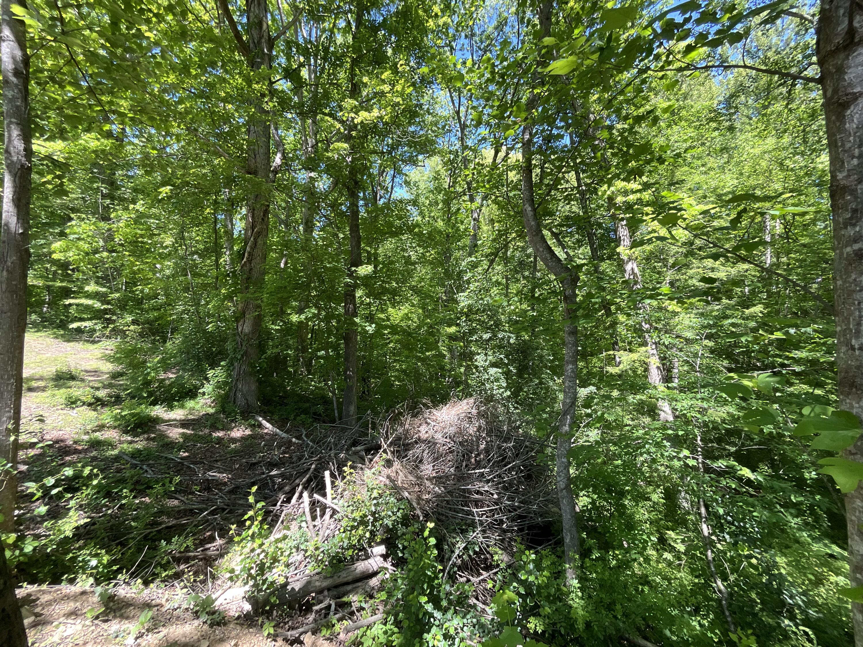 56 Tim Morgan Road Property Photo 71