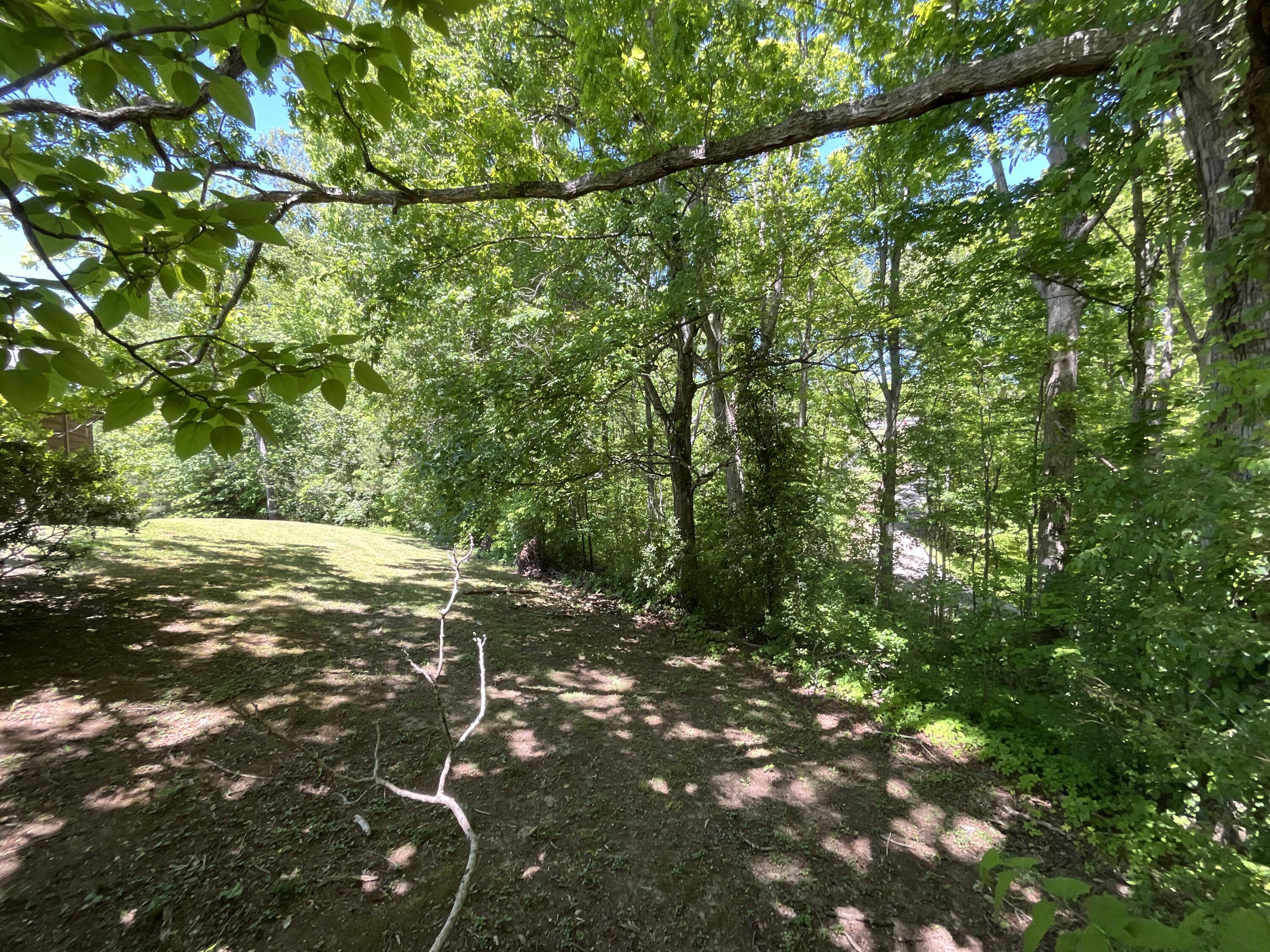 56 Tim Morgan Road Property Photo 81