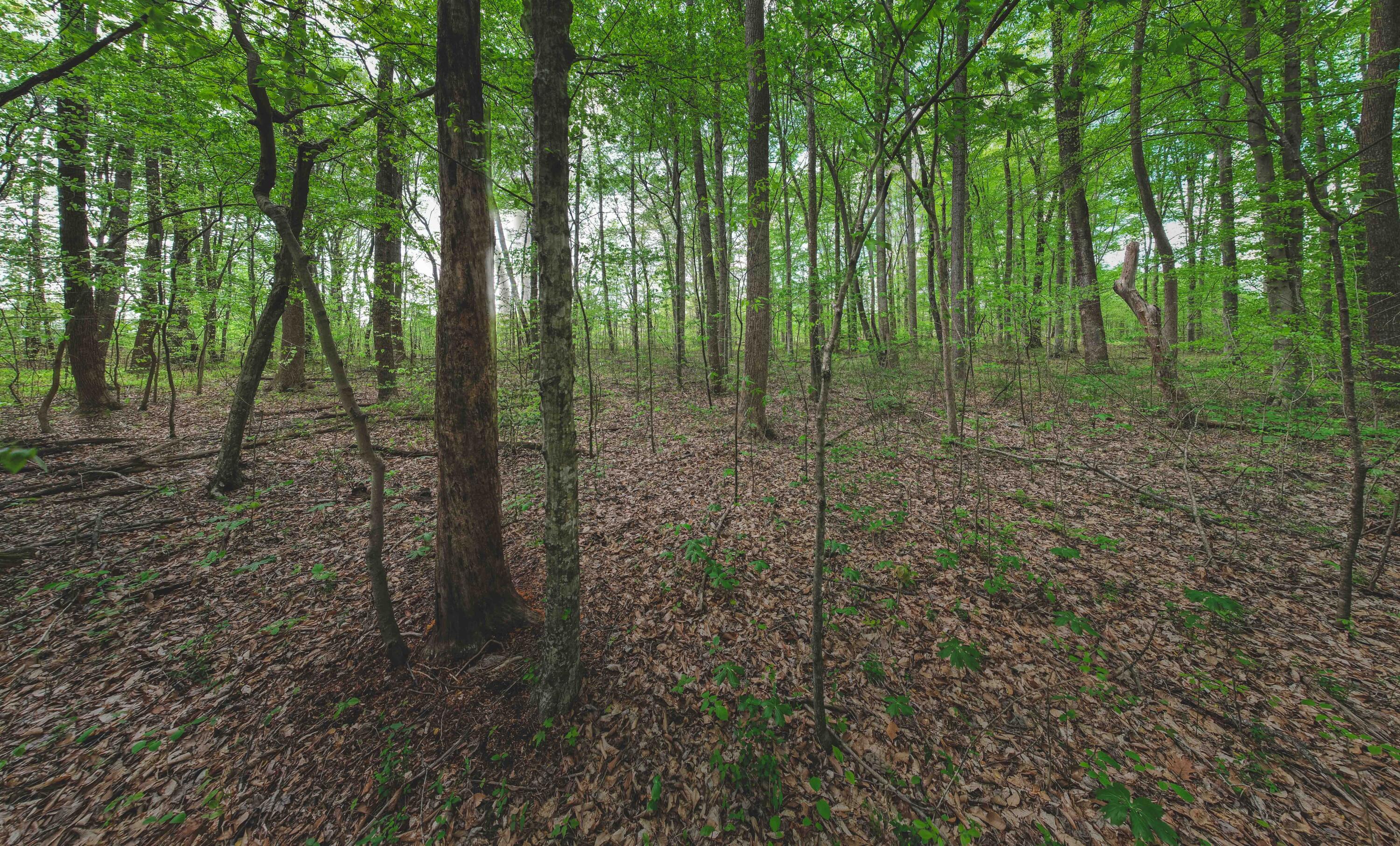2ac Barry Lane Property Photo 4