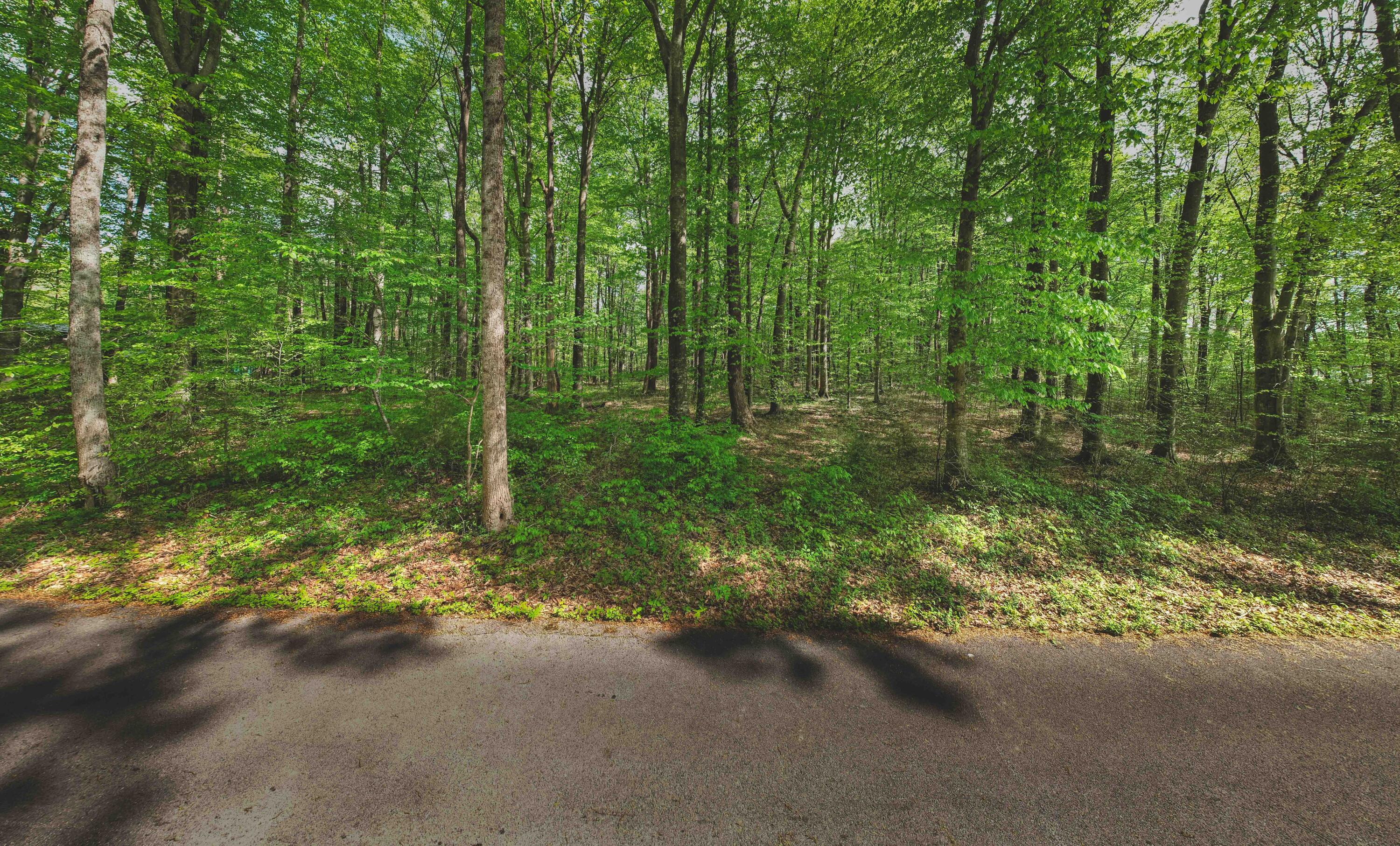 2ac Barry Lane Property Photo 5