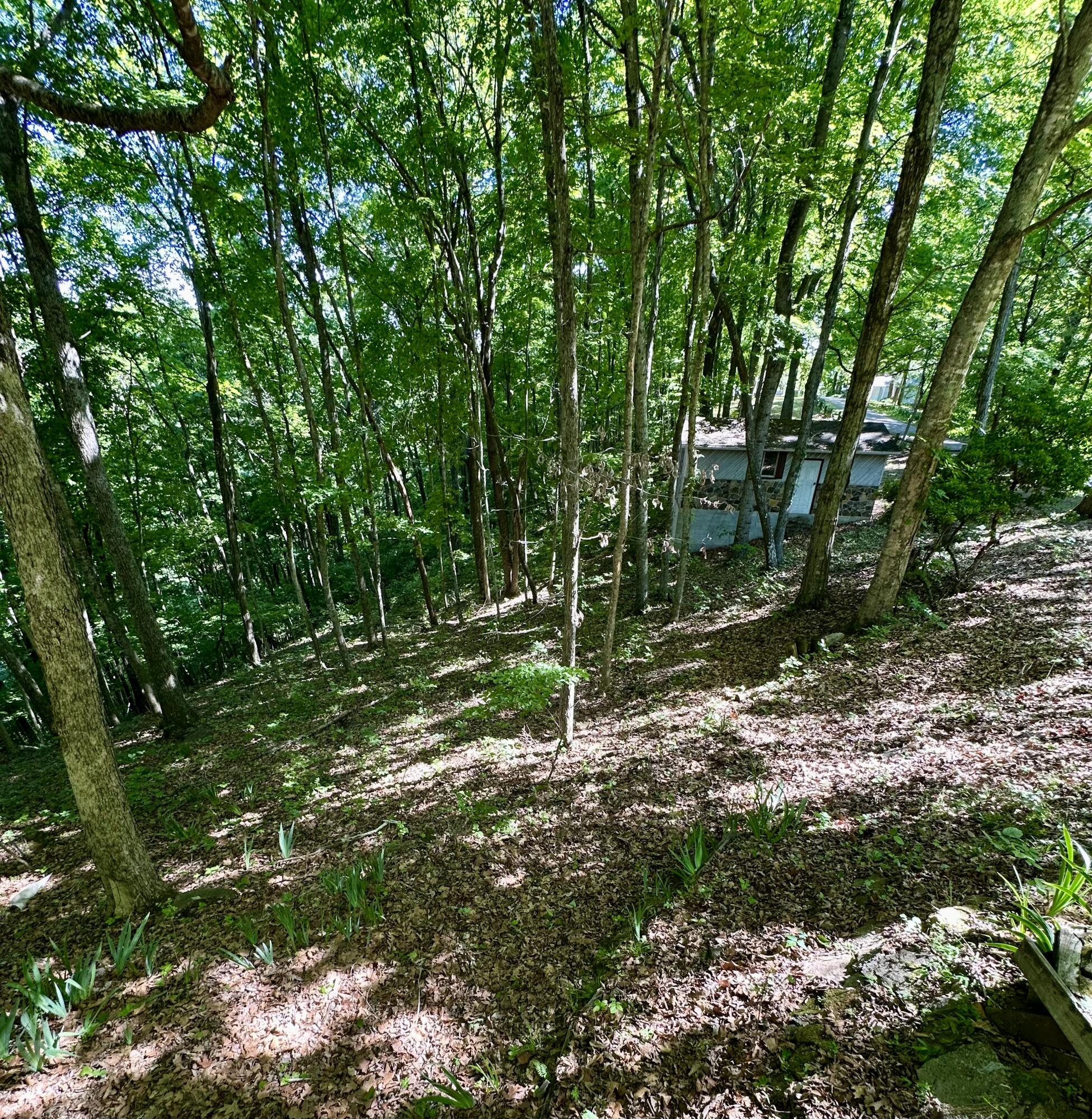 439 Eagles Bluff Road Property Photo 10