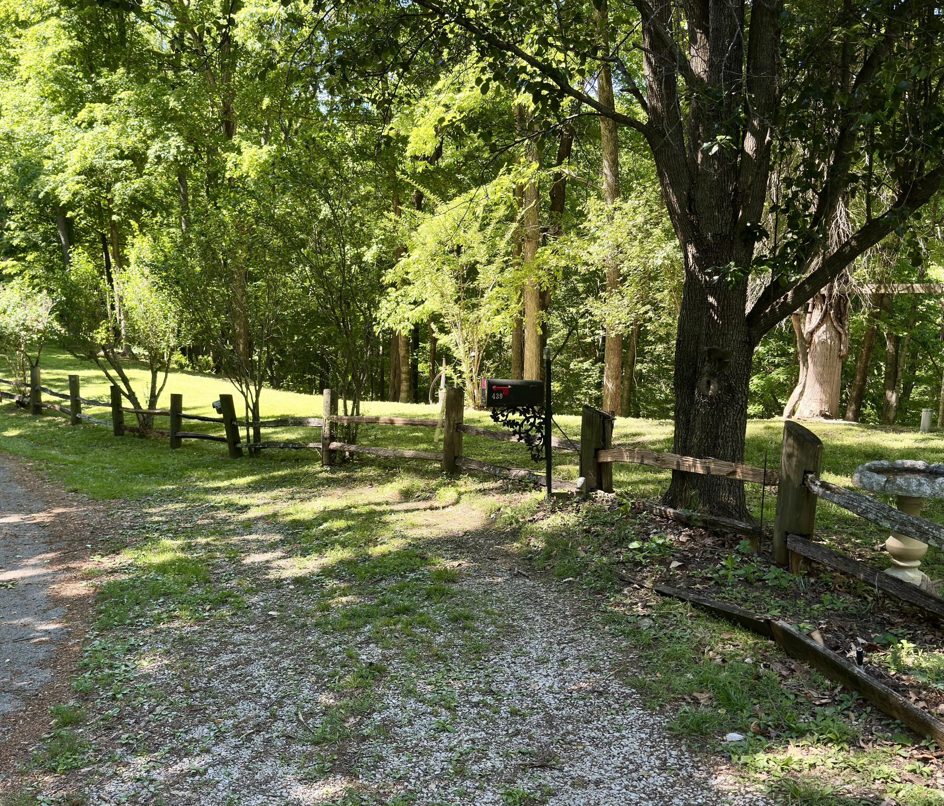 439 Eagles Bluff Road Property Photo 12