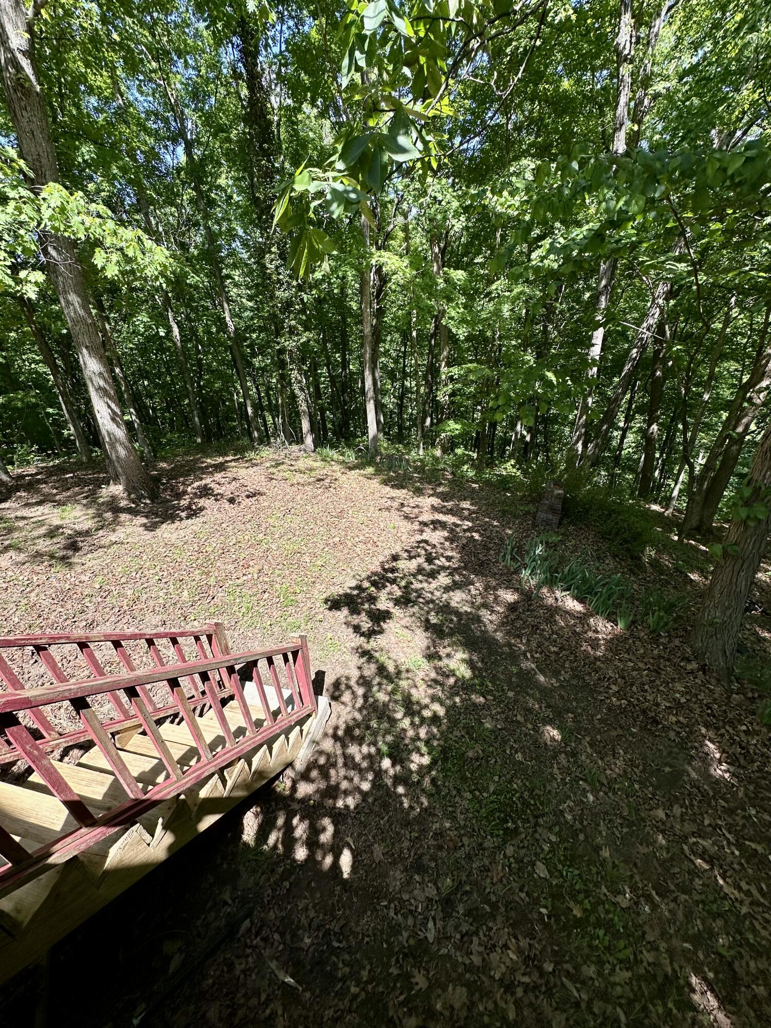 439 Eagles Bluff Road Property Photo 19