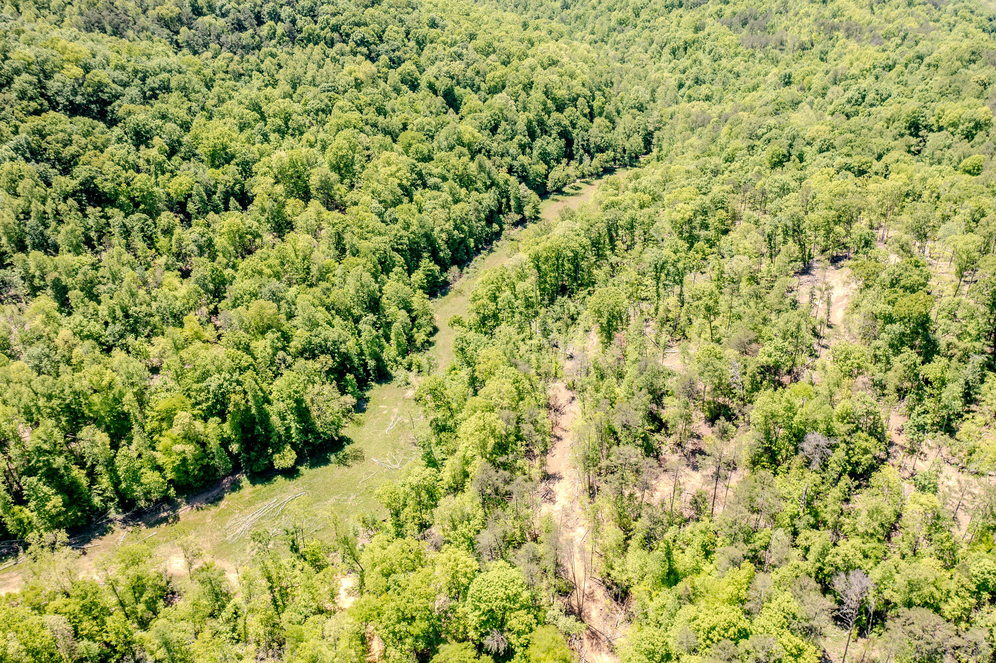 1645 Denton Phelps Road Property Photo 10