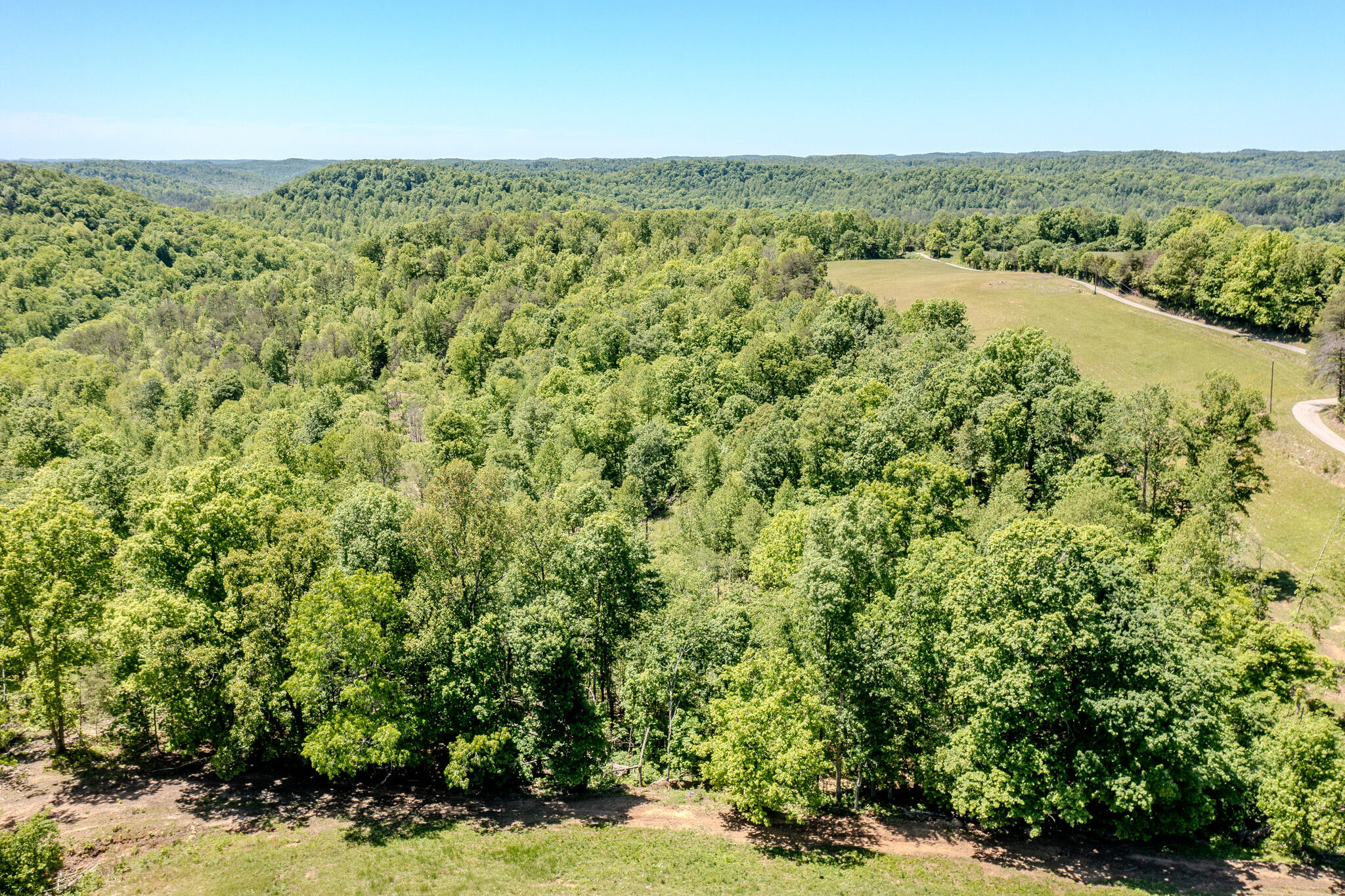 1645 Denton Phelps Road Property Photo 25