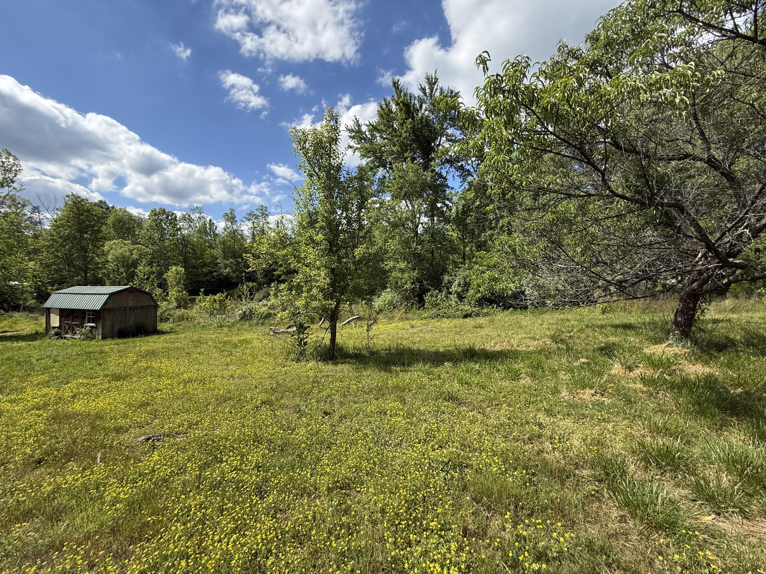 1921 State Highway 1804 Property Photo 39