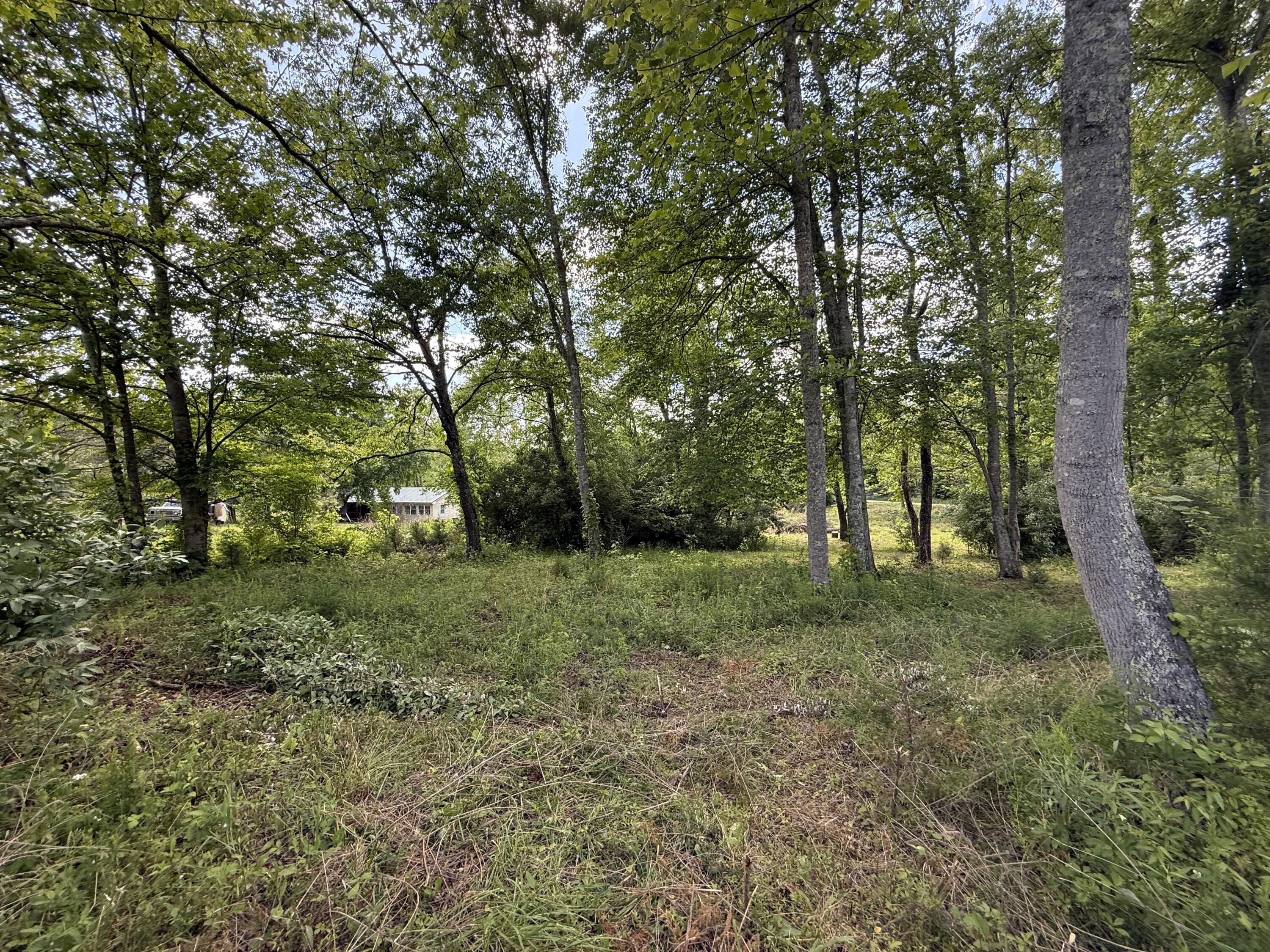 1921 State Highway 1804 Property Photo 40