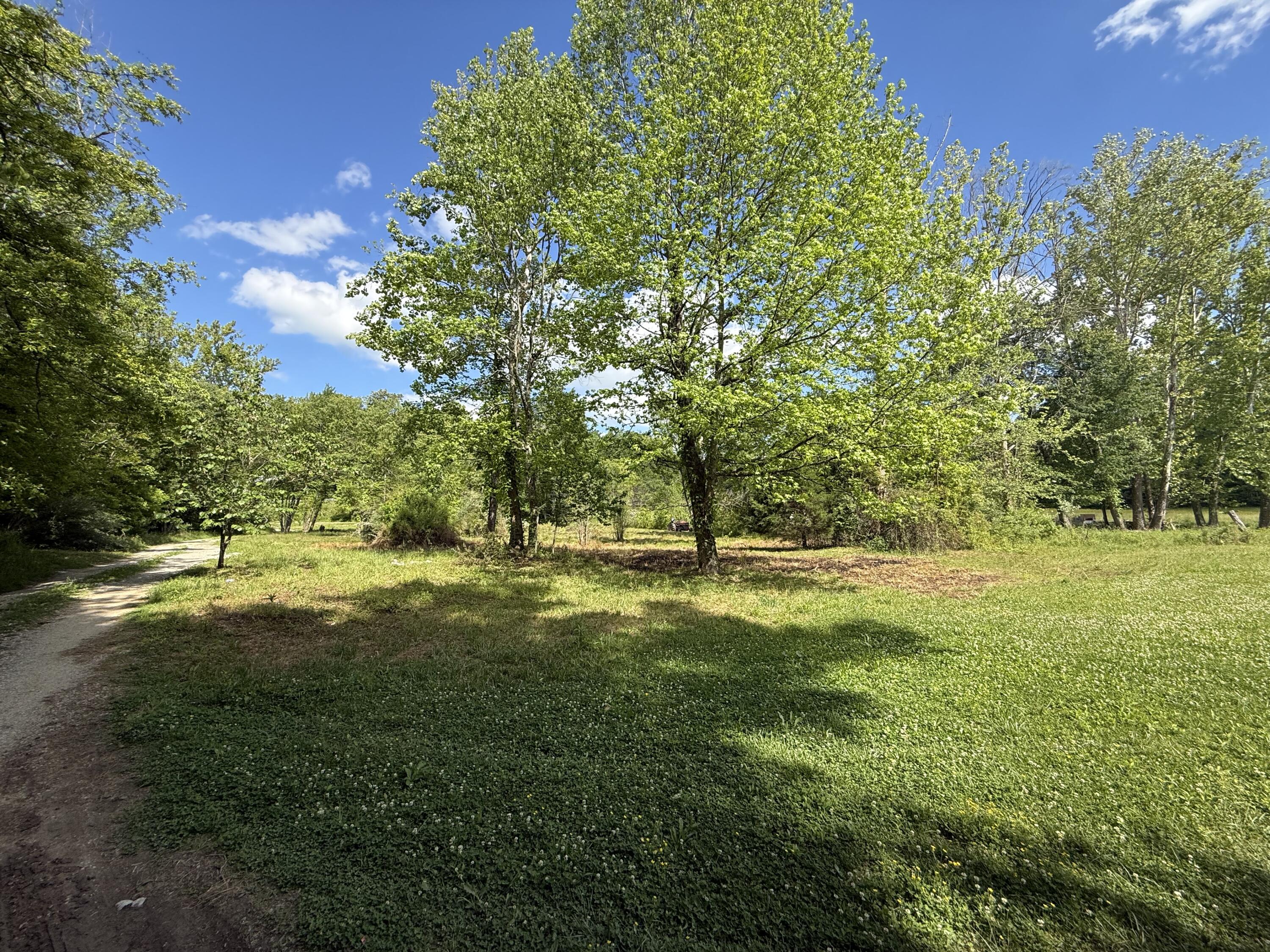 1921 State Highway 1804 Property Photo 44