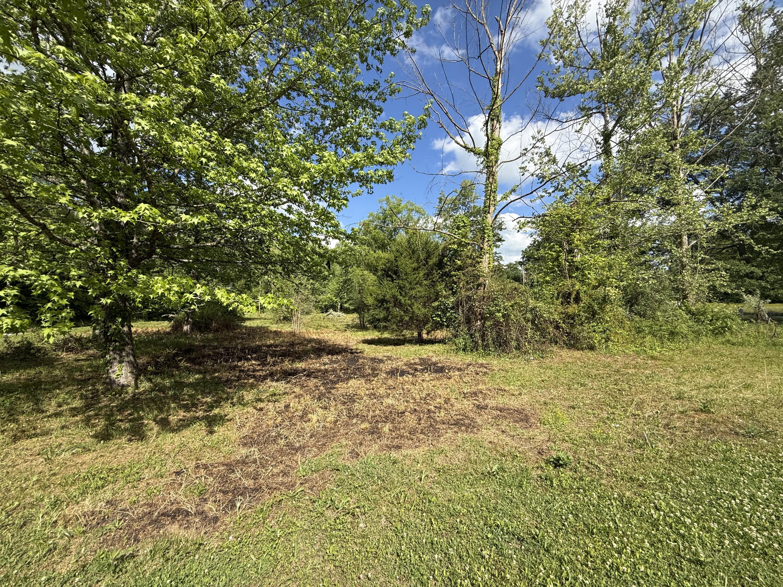 1921 State Highway 1804 Property Photo 67