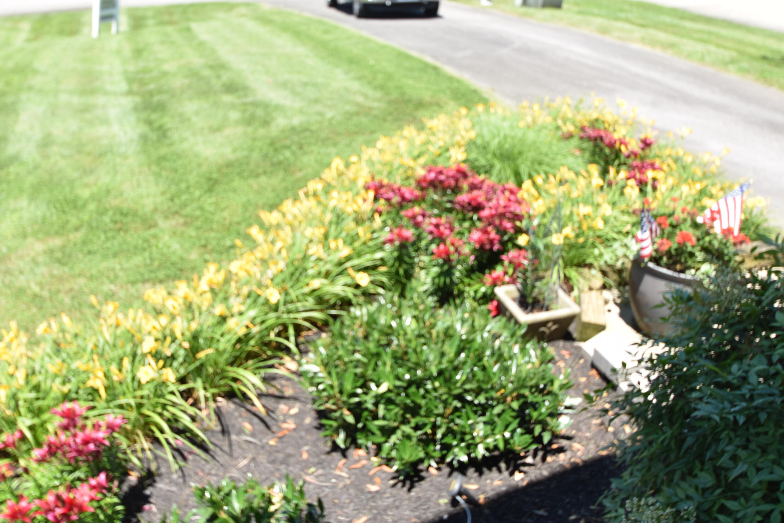 360 Persimmon Way Property Photo 19