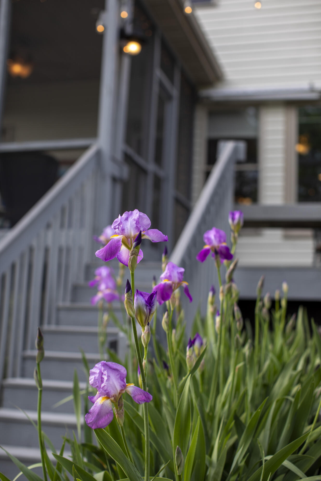 360 Persimmon Way Property Photo 65